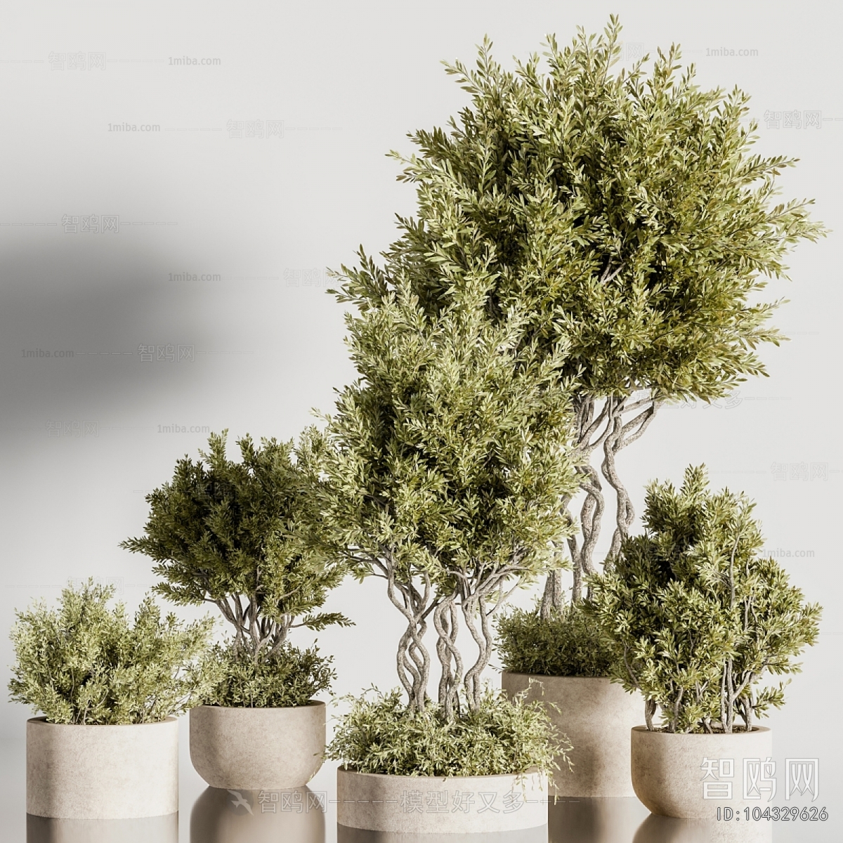 Modern Ground Green Plant Potted Plants