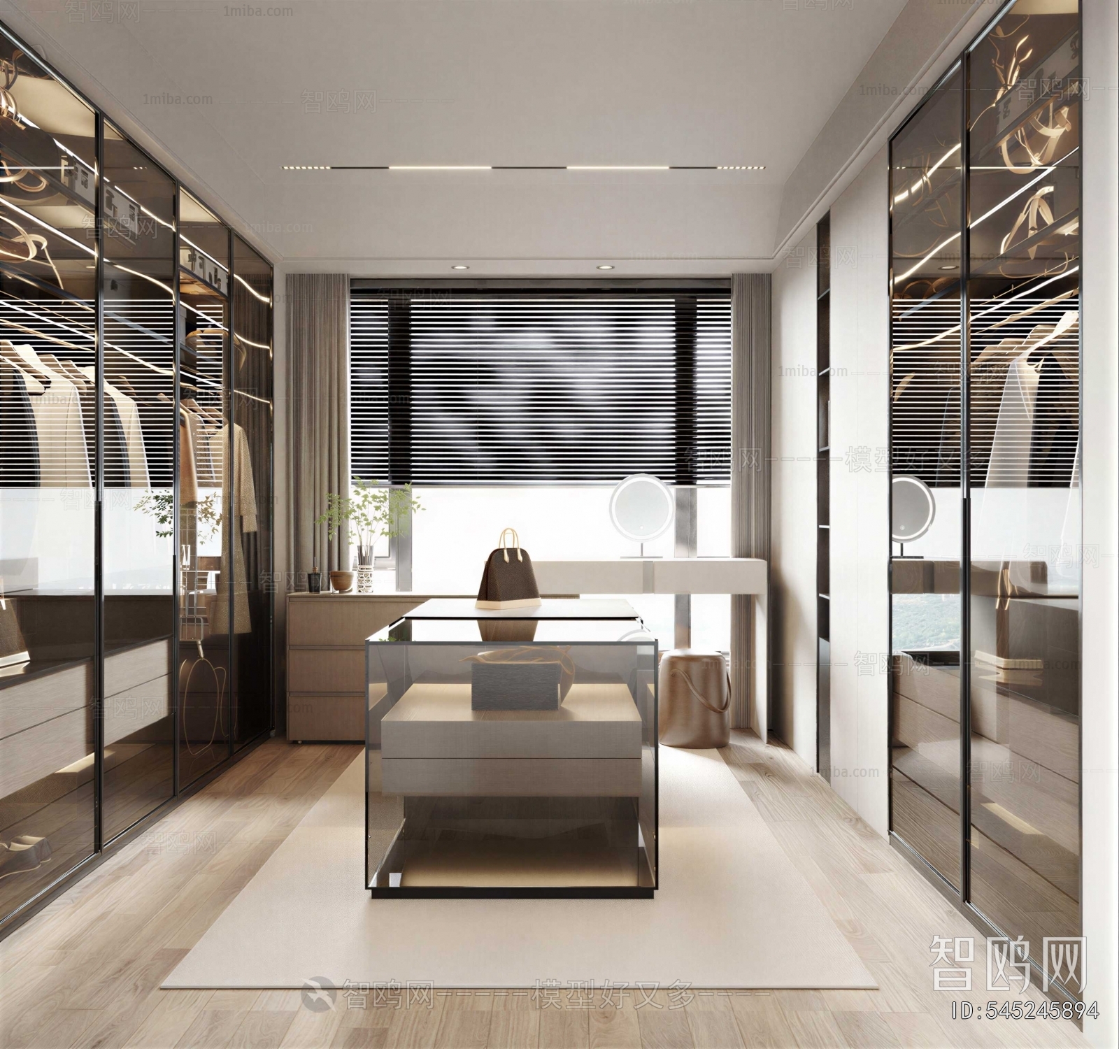 Modern Clothes Storage Area