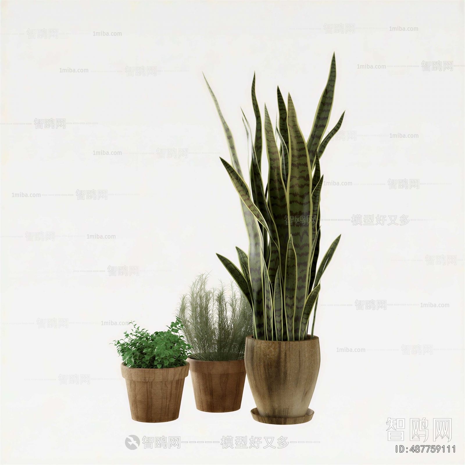 Modern Potted Green Plant