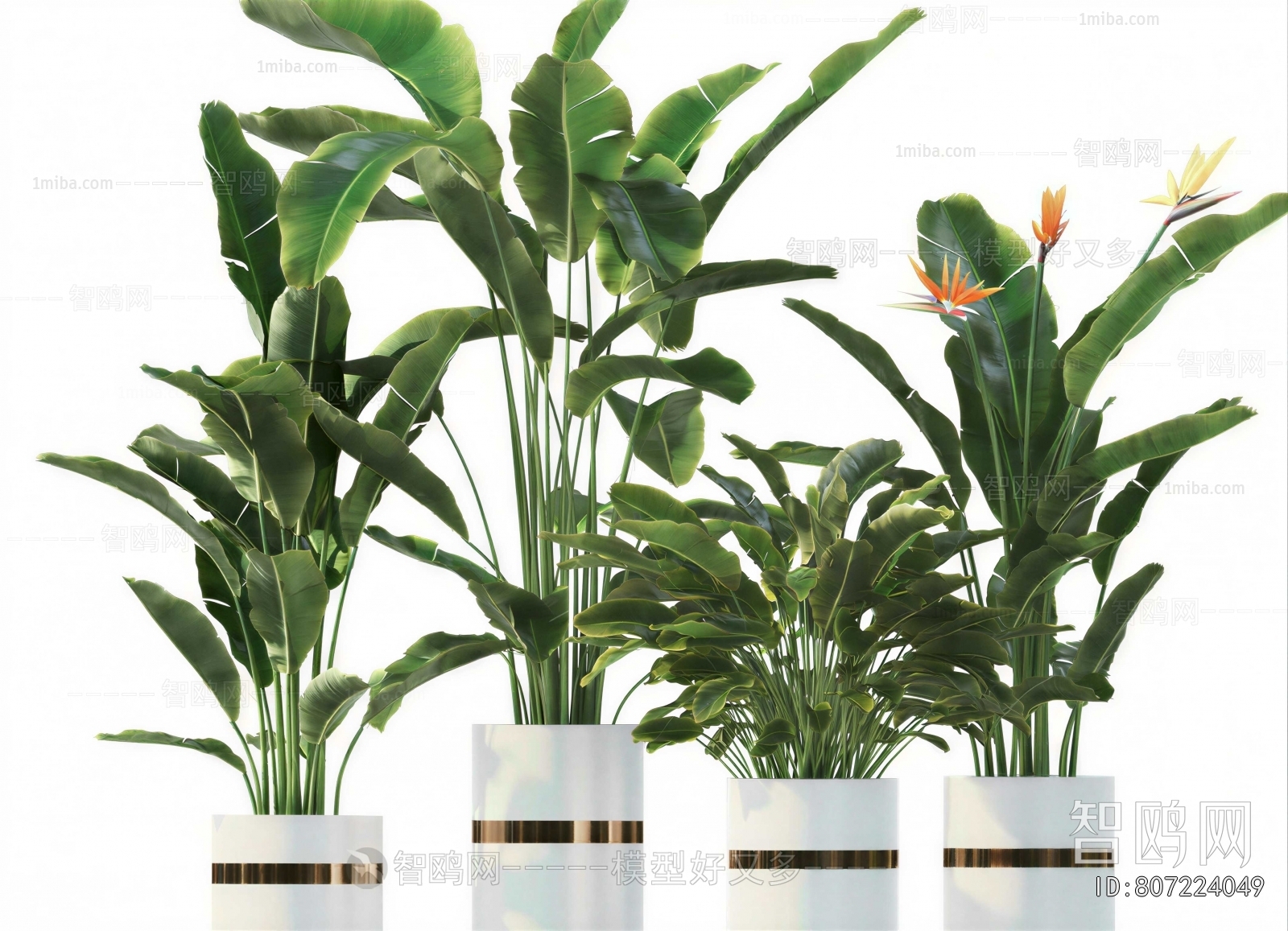 Modern Ground Green Plant Potted Plants