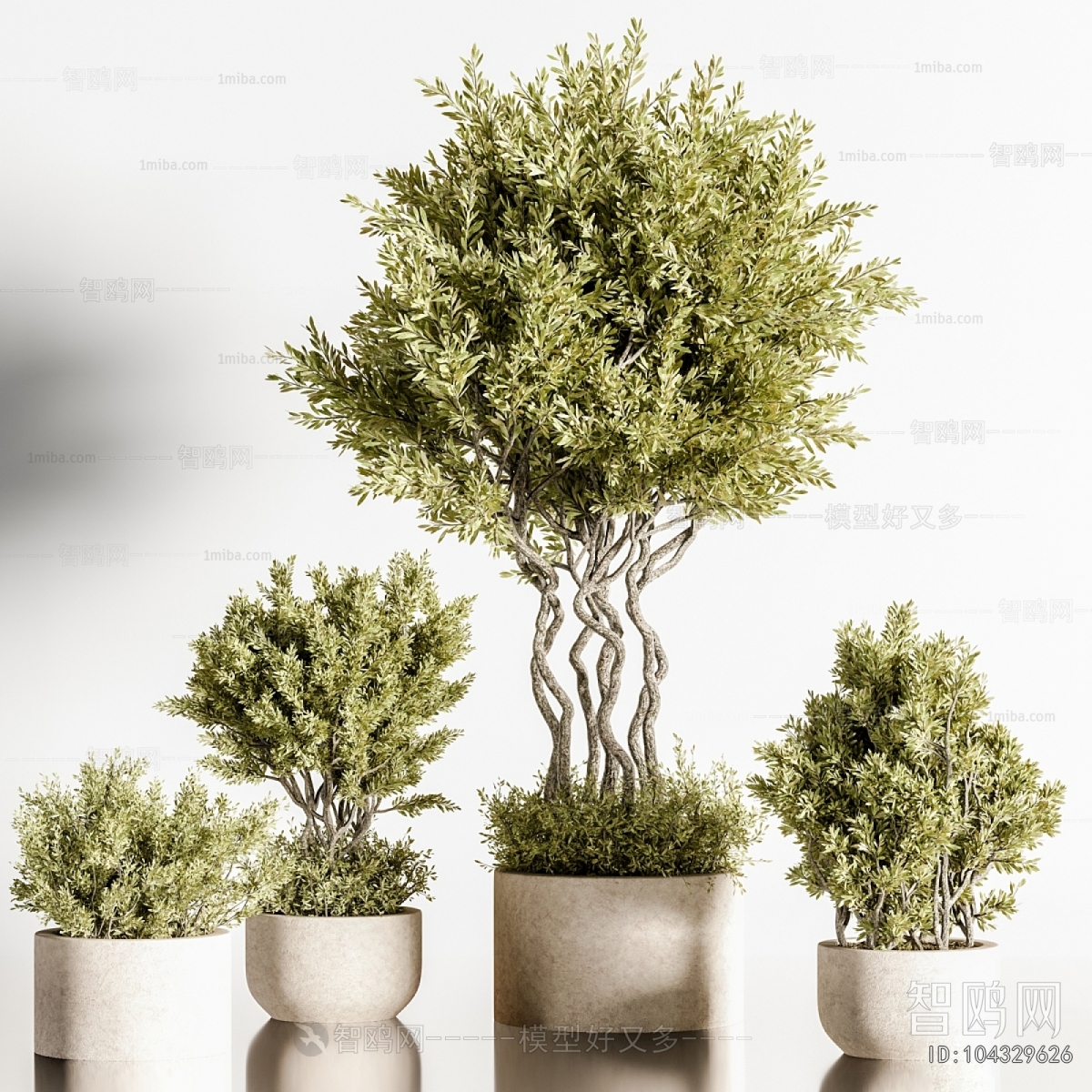 Modern Ground Green Plant Potted Plants