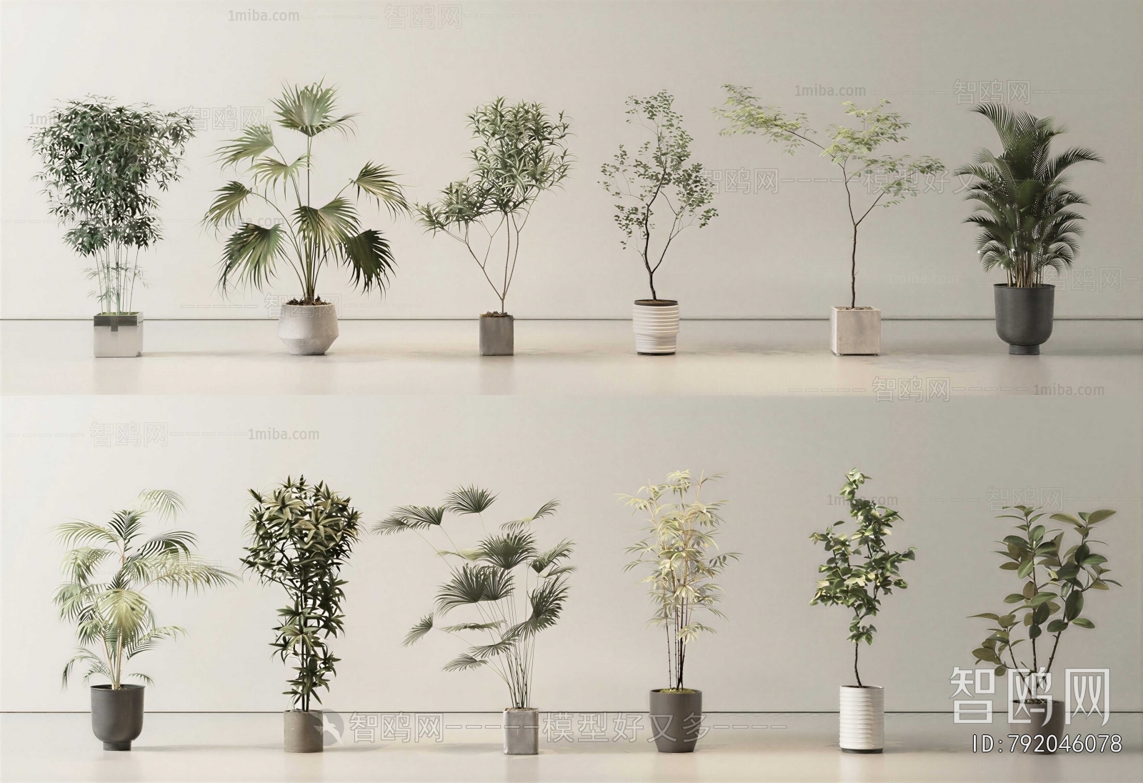 Modern Ground Green Plant Potted Plants