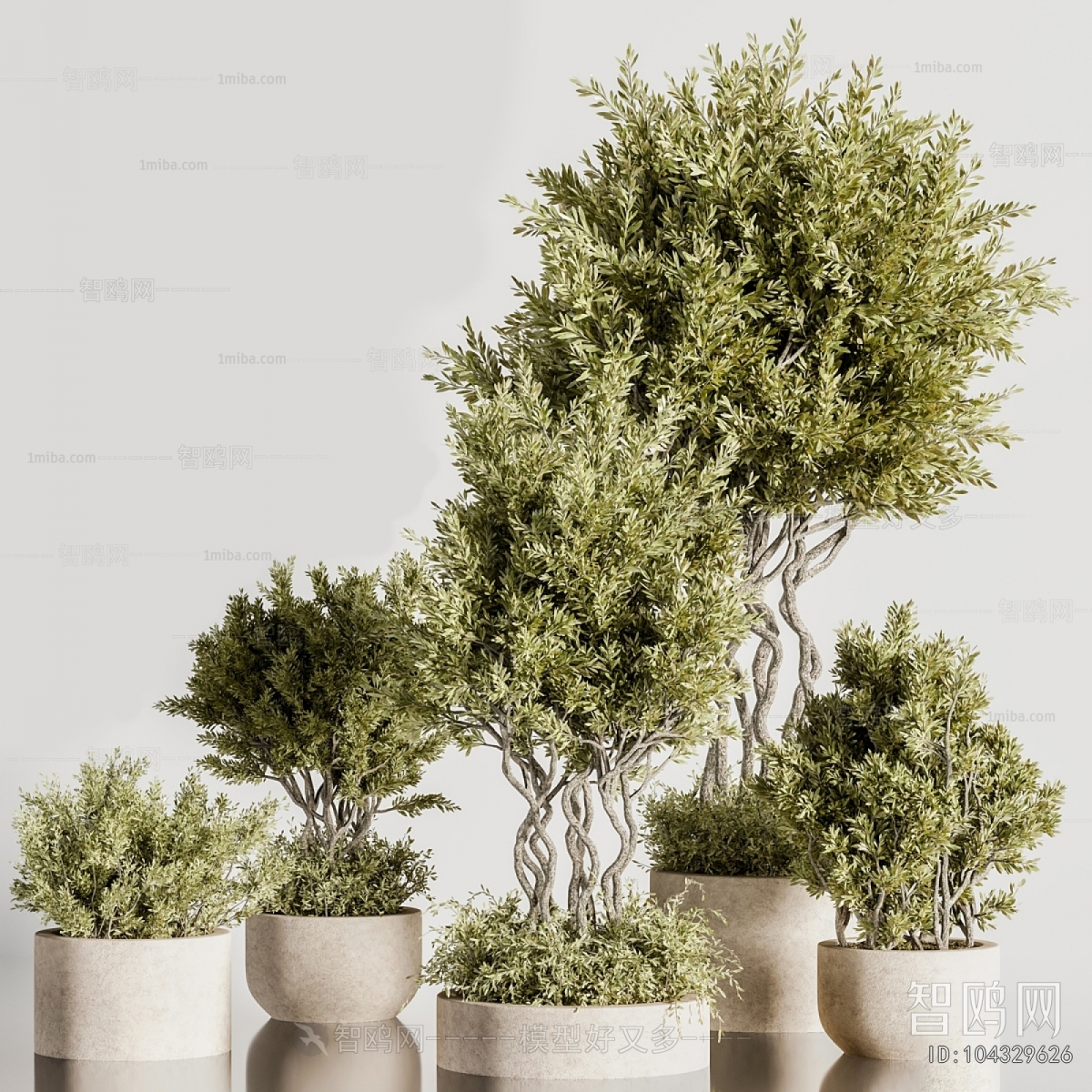 Modern Ground Green Plant Potted Plants