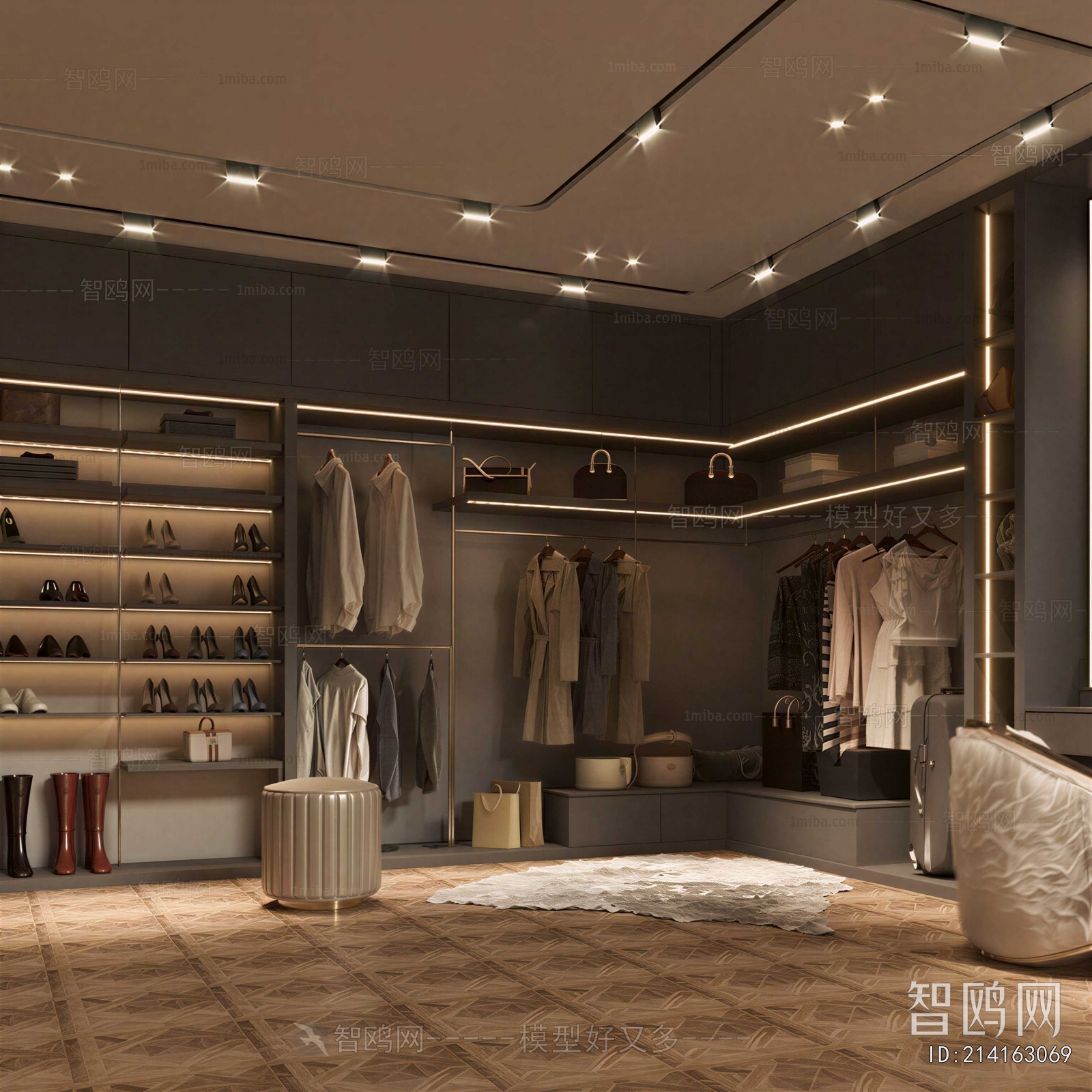 Modern Clothes Storage Area