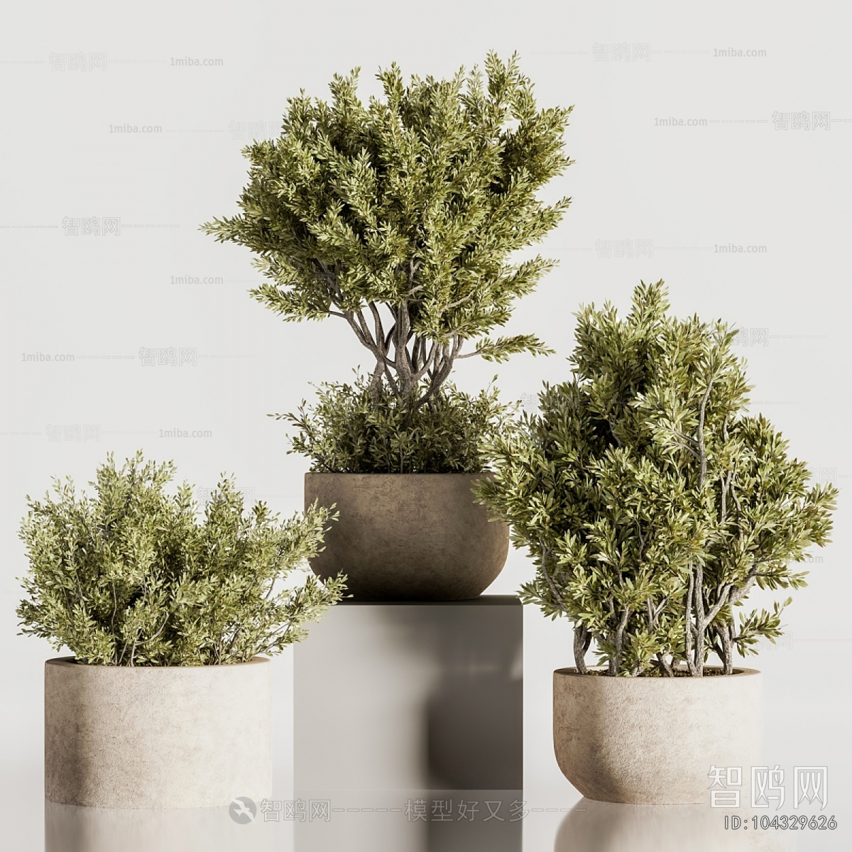 Modern Ground Green Plant Potted Plants