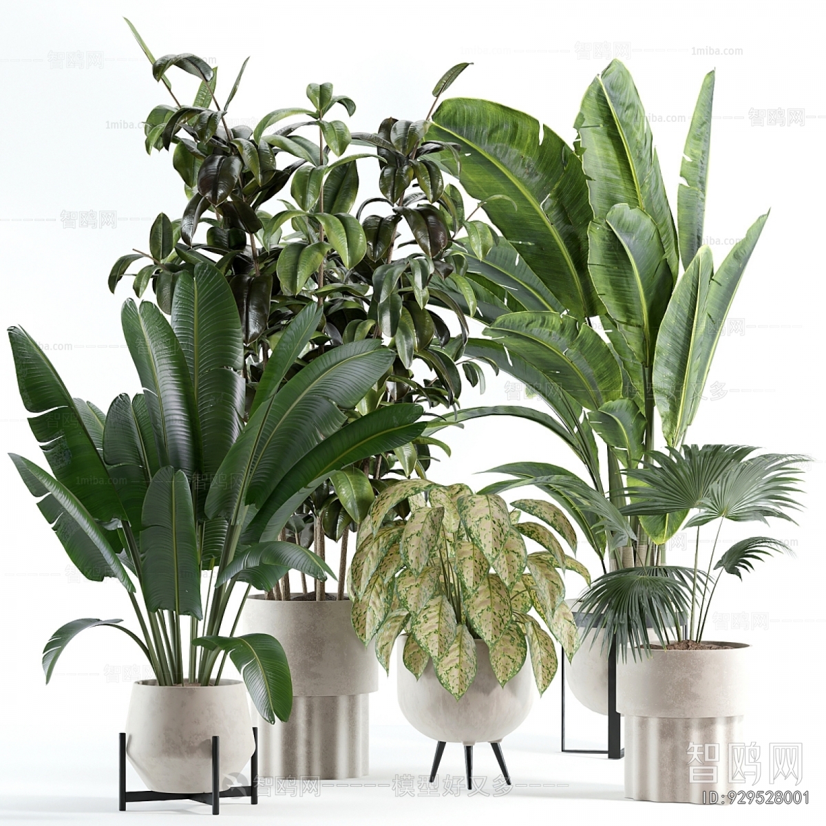 Modern Ground Green Plant Potted Plants