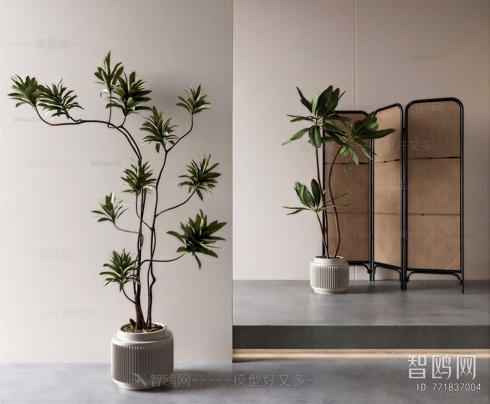 Modern Ground Green Plant Potted Plants