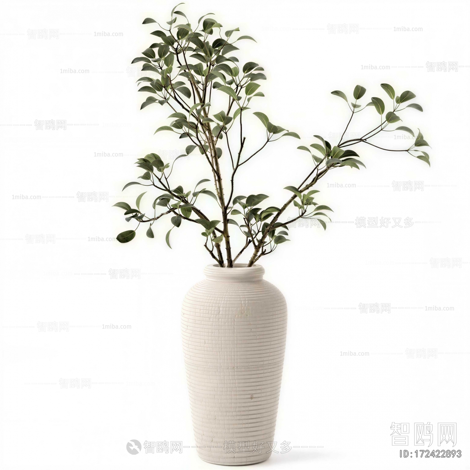 Wabi-sabi Style Aquatic Green Plant