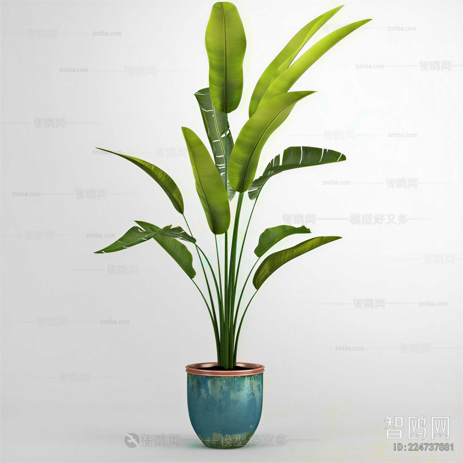 Modern Ground Green Plant Potted Plants