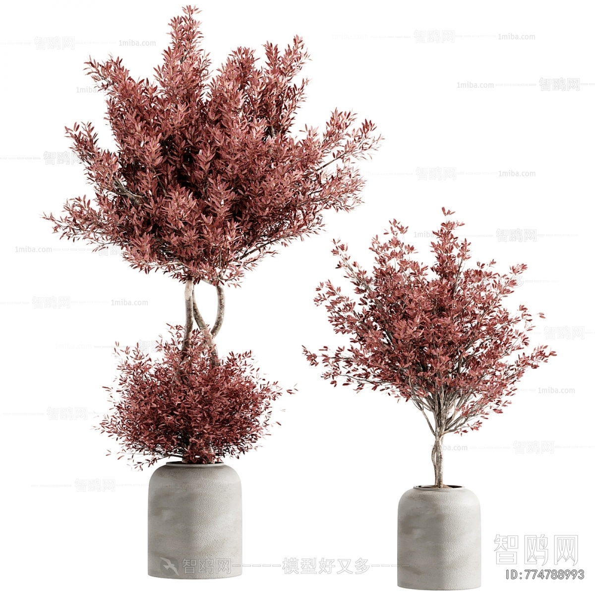 Modern Ground Green Plant Potted Plants