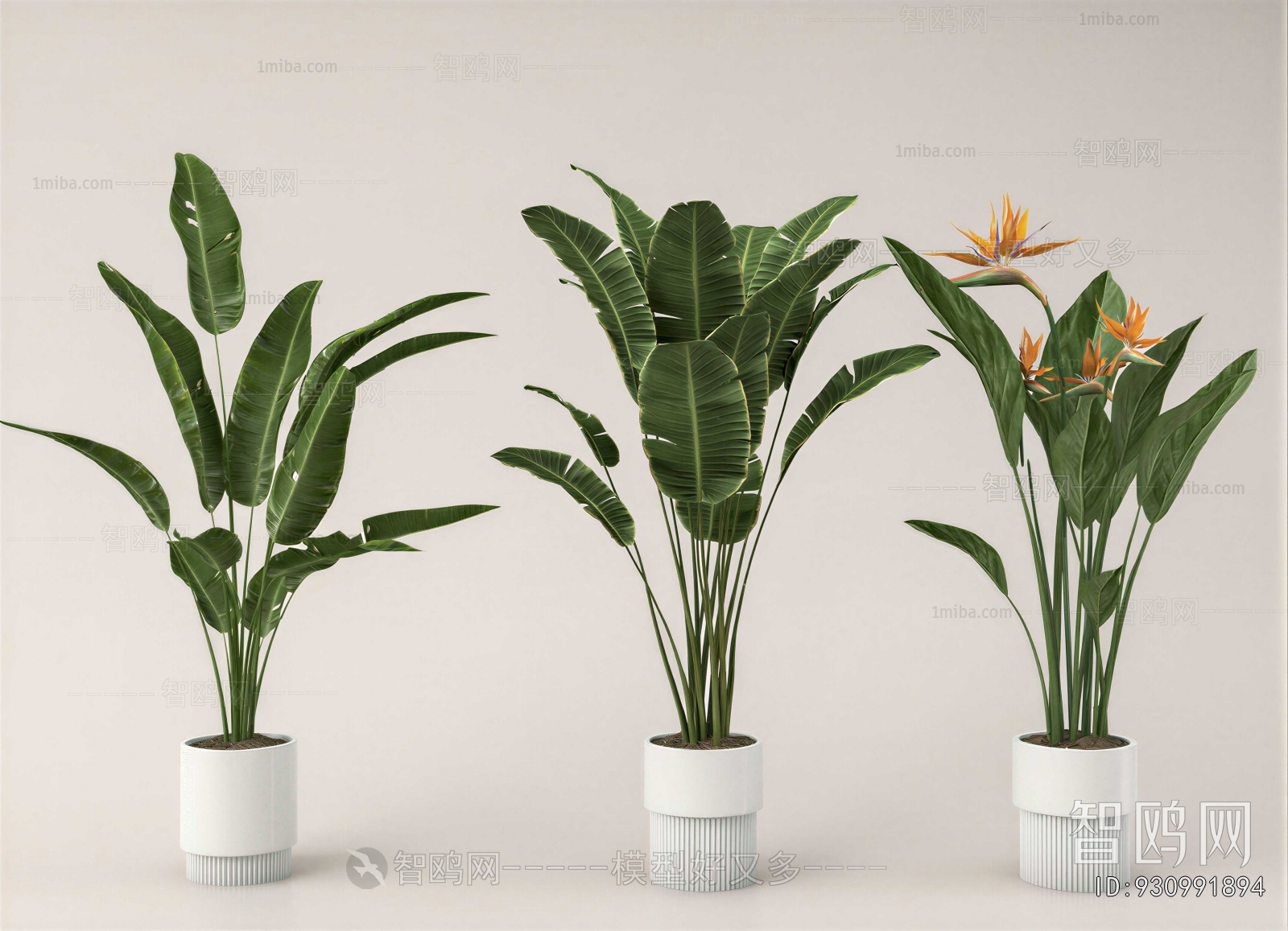 Modern Ground Green Plant Potted Plants