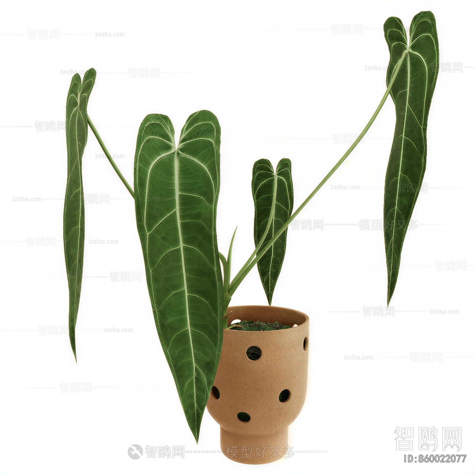 Modern Potted Green Plant