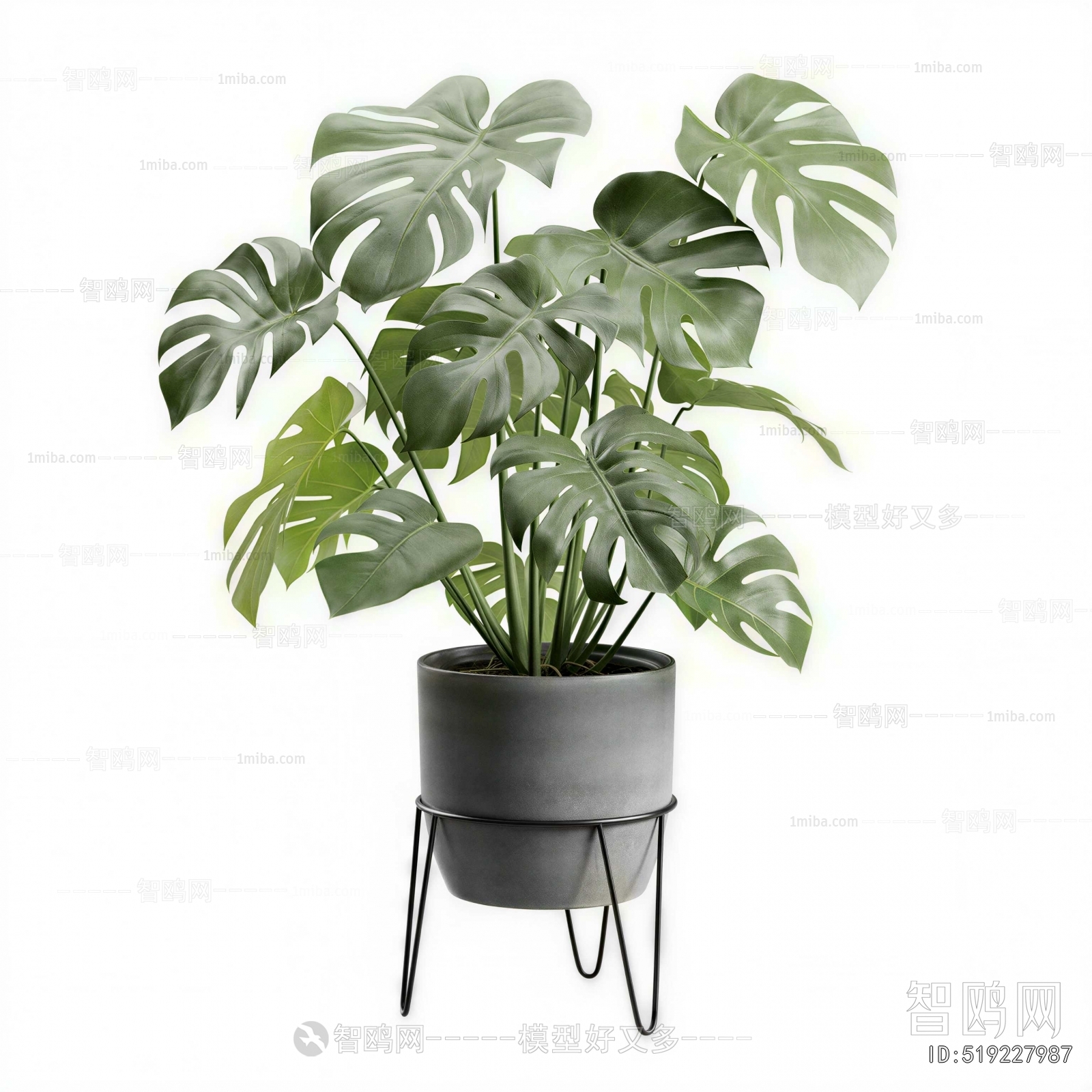 Modern Ground Green Plant Potted Plants