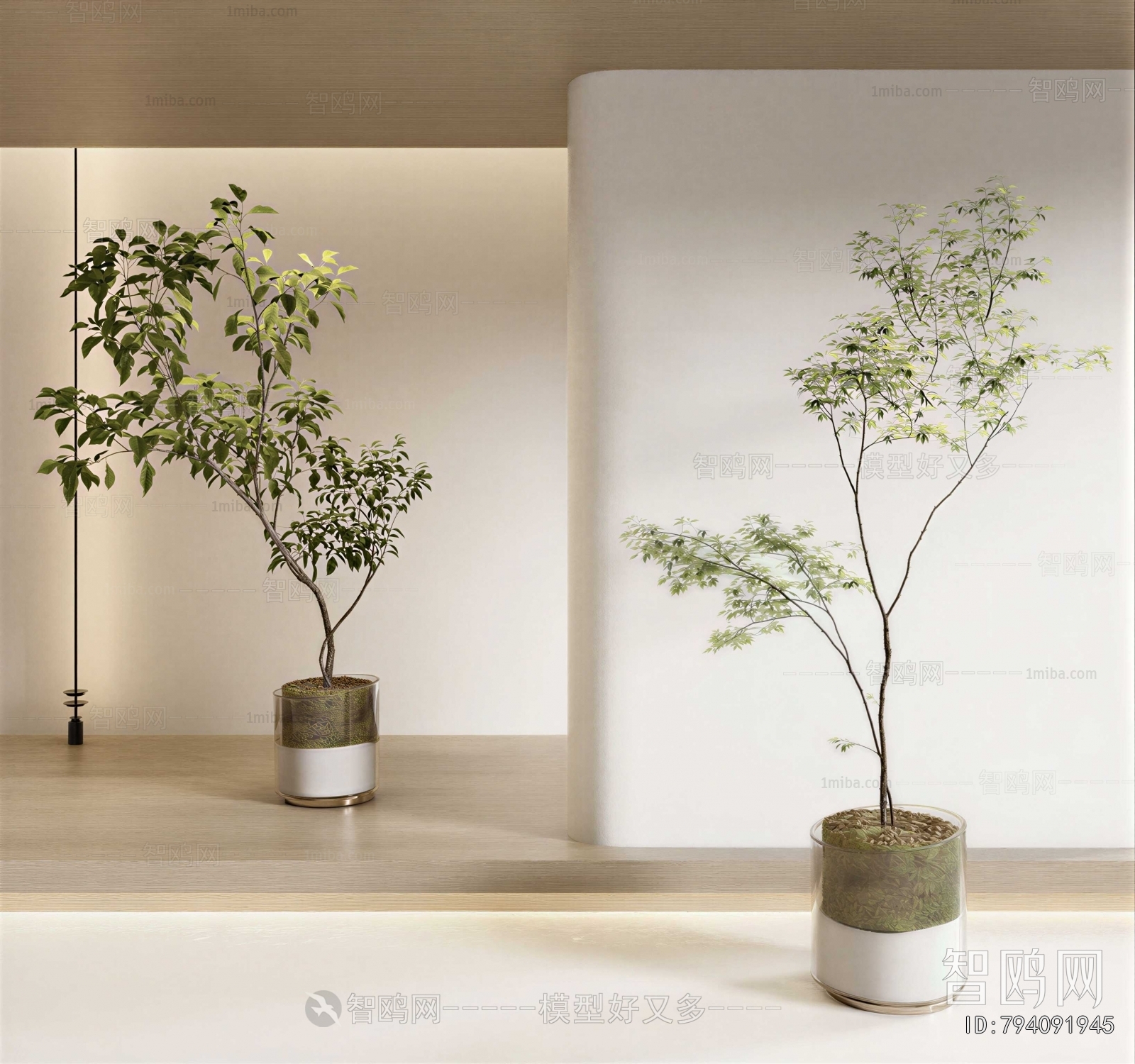 Modern Ground Green Plant Potted Plants