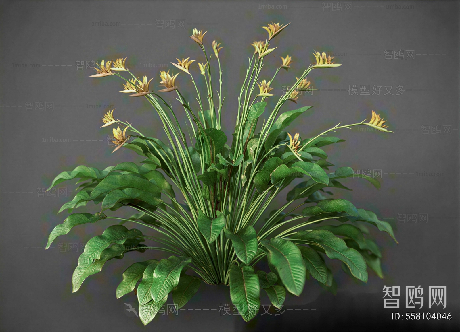 Modern Flowers And Grass