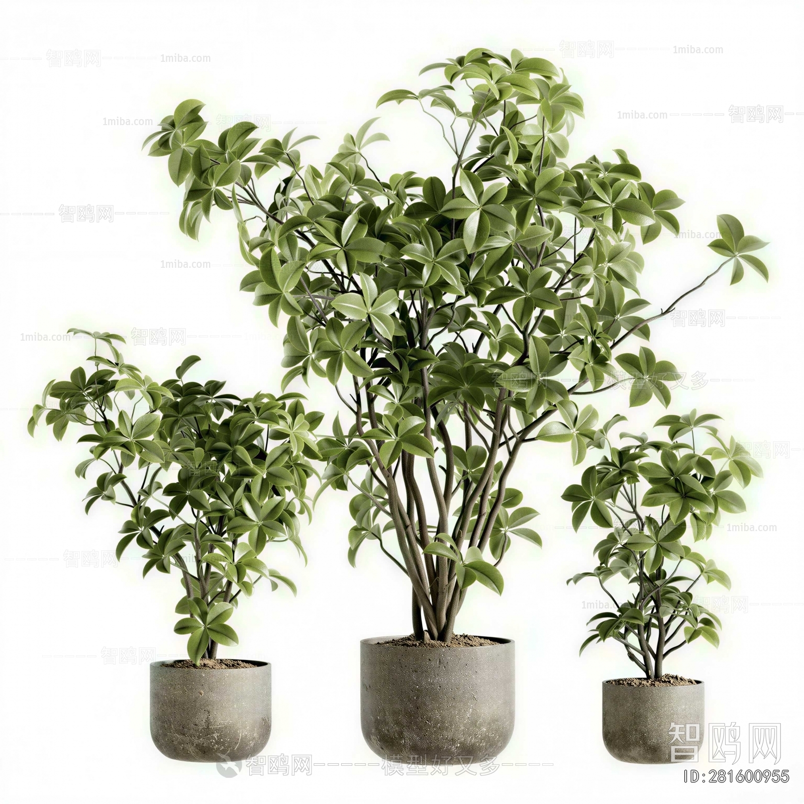 Modern Ground Green Plant Potted Plants
