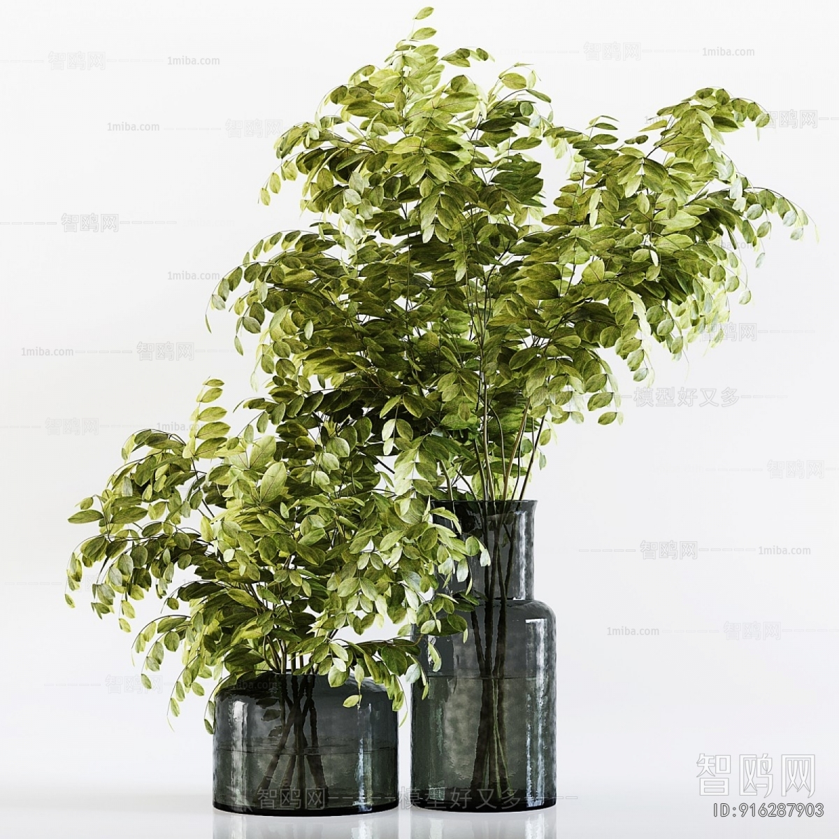 Modern Aquatic Green Plant