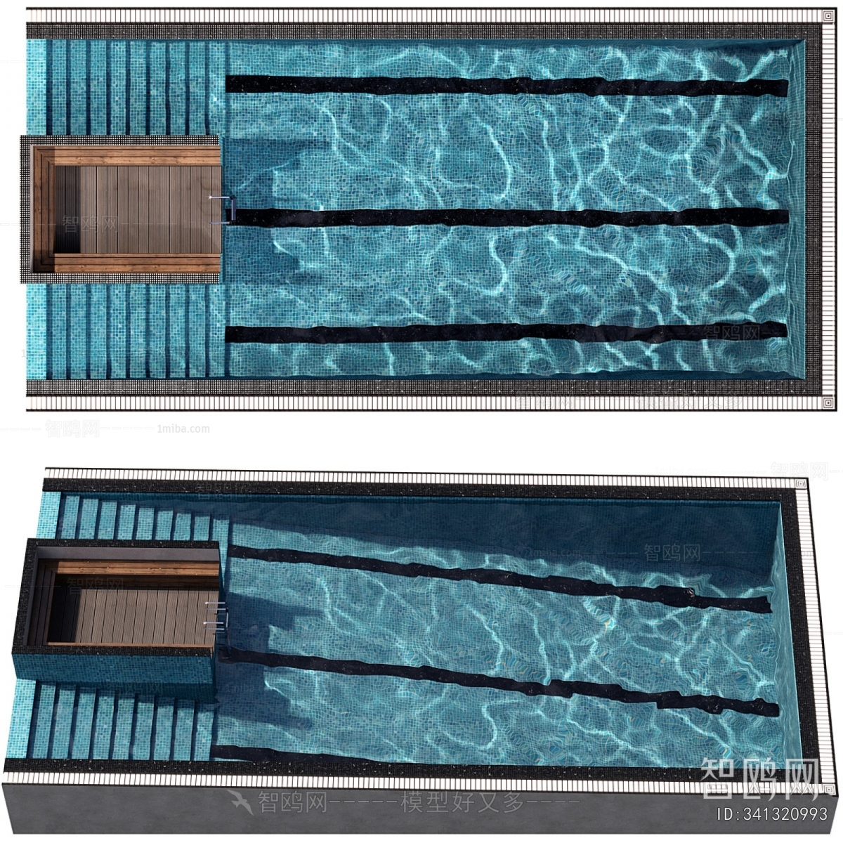 Modern Swimming Pool