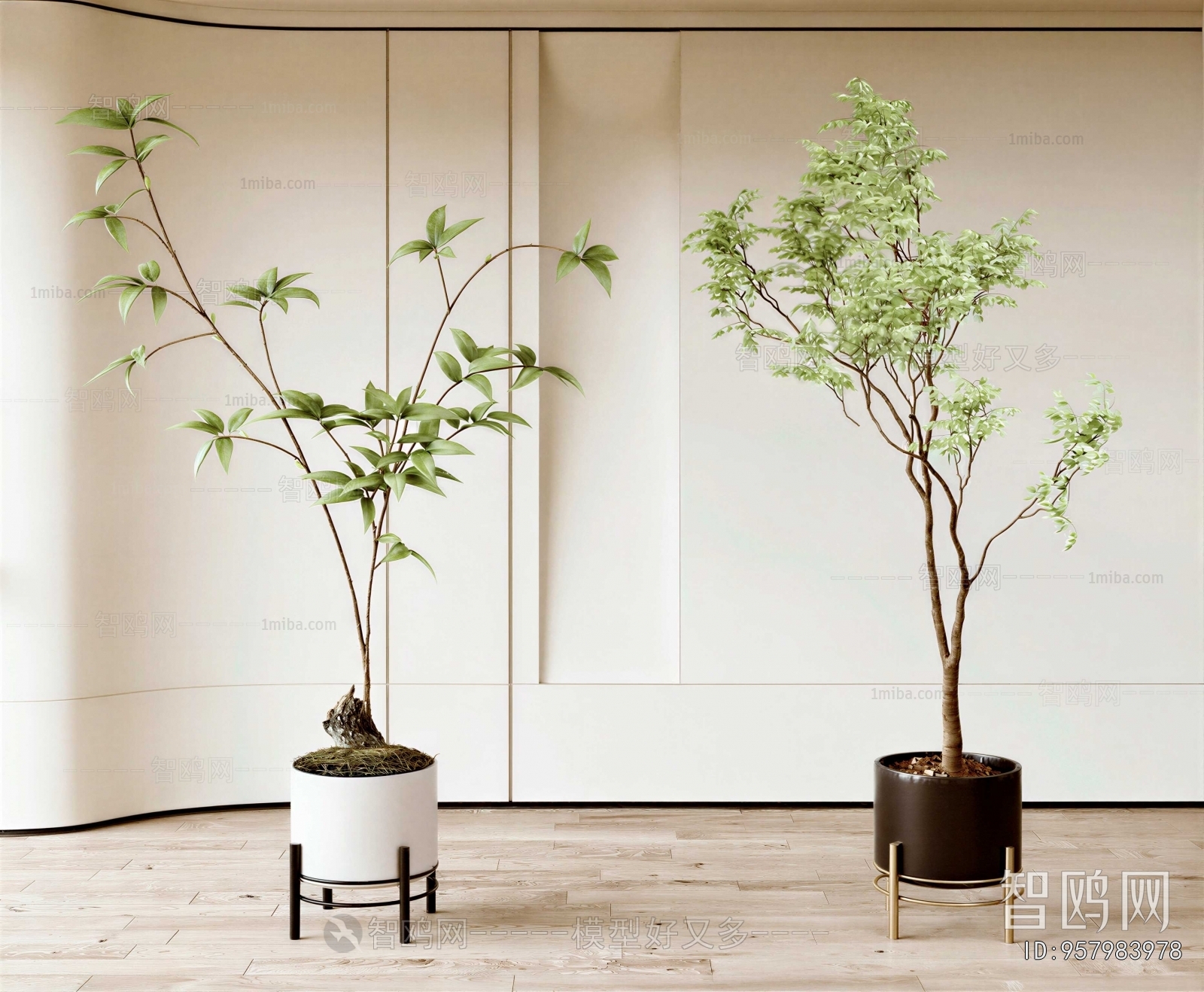 Modern Ground Green Plant Potted Plants