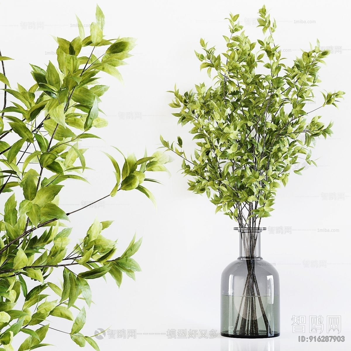 Modern Aquatic Green Plant