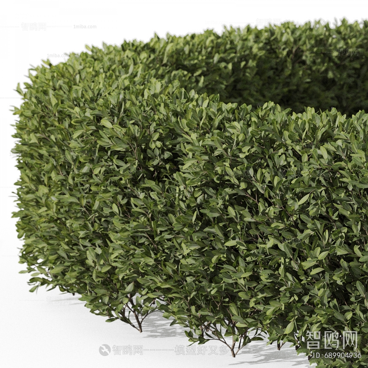 Modern Shrubbery
