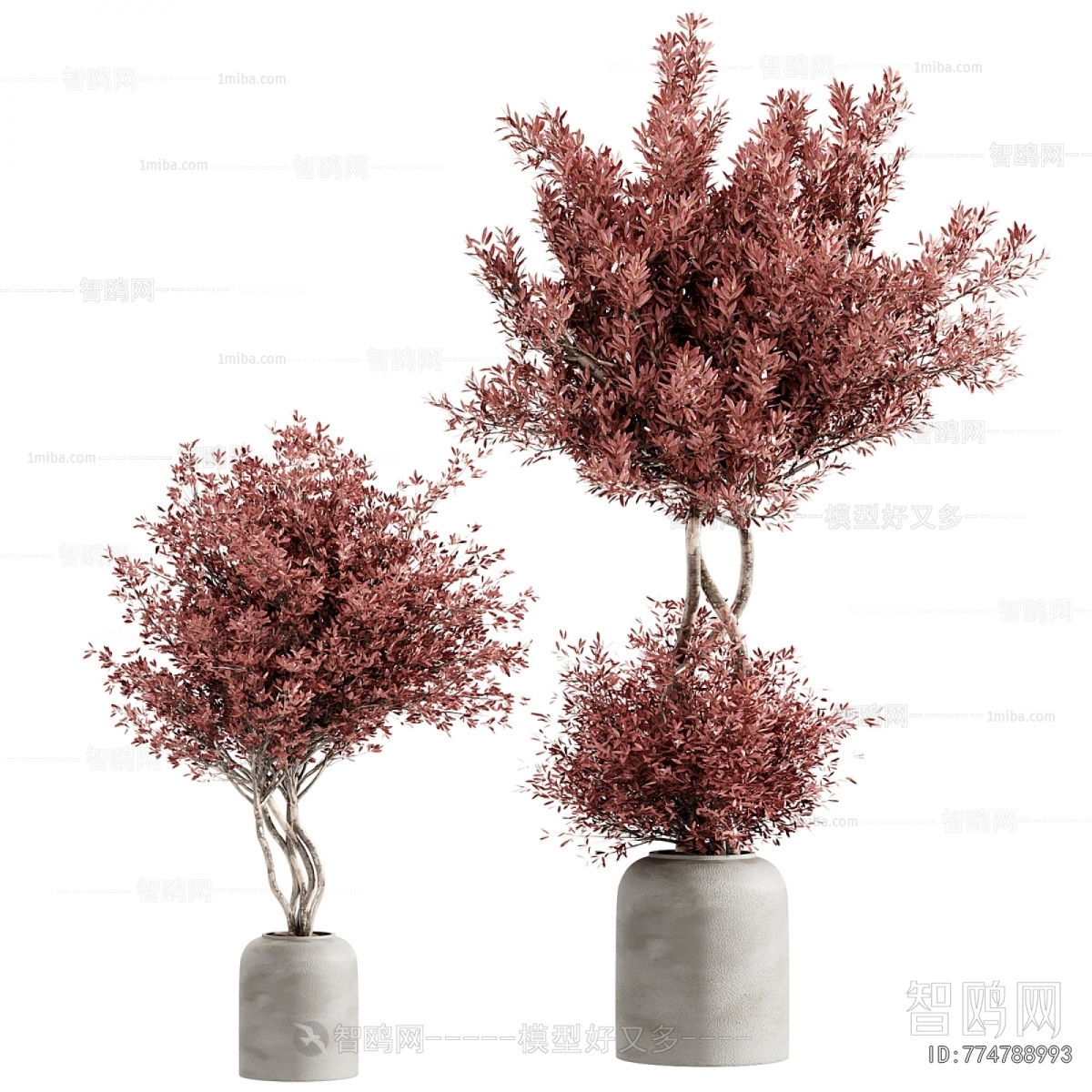 Modern Ground Green Plant Potted Plants