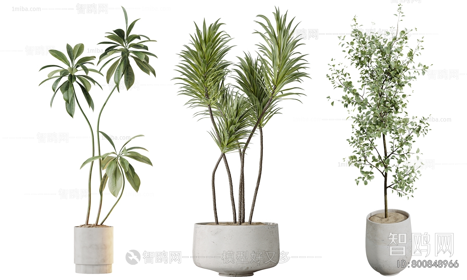 Modern Ground Green Plant Potted Plants