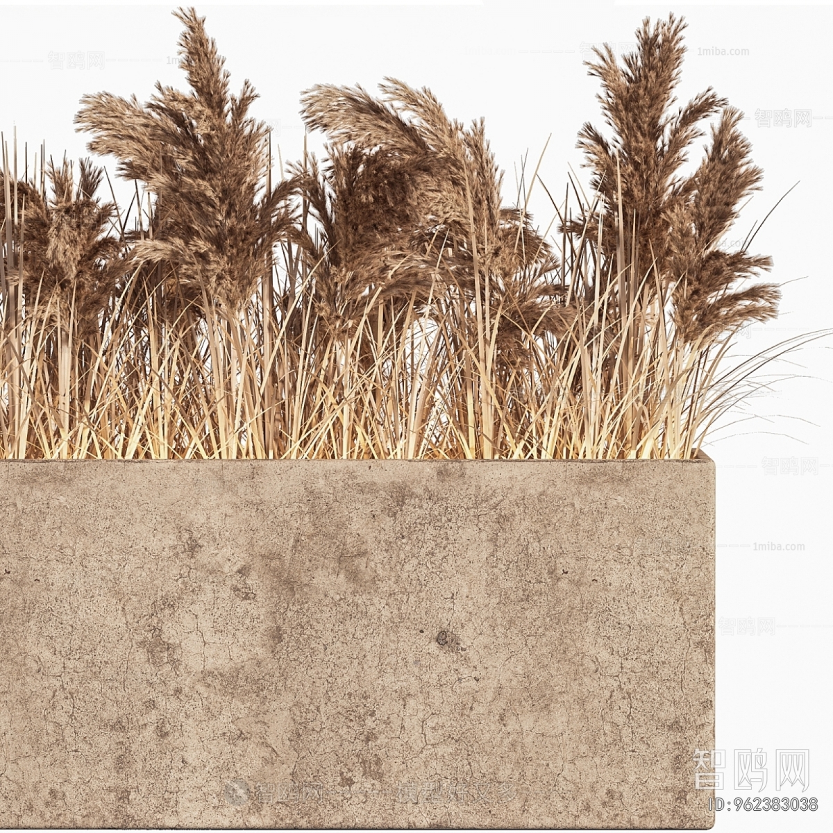 Modern Flower Bed, Flower Bowl, Flower Box