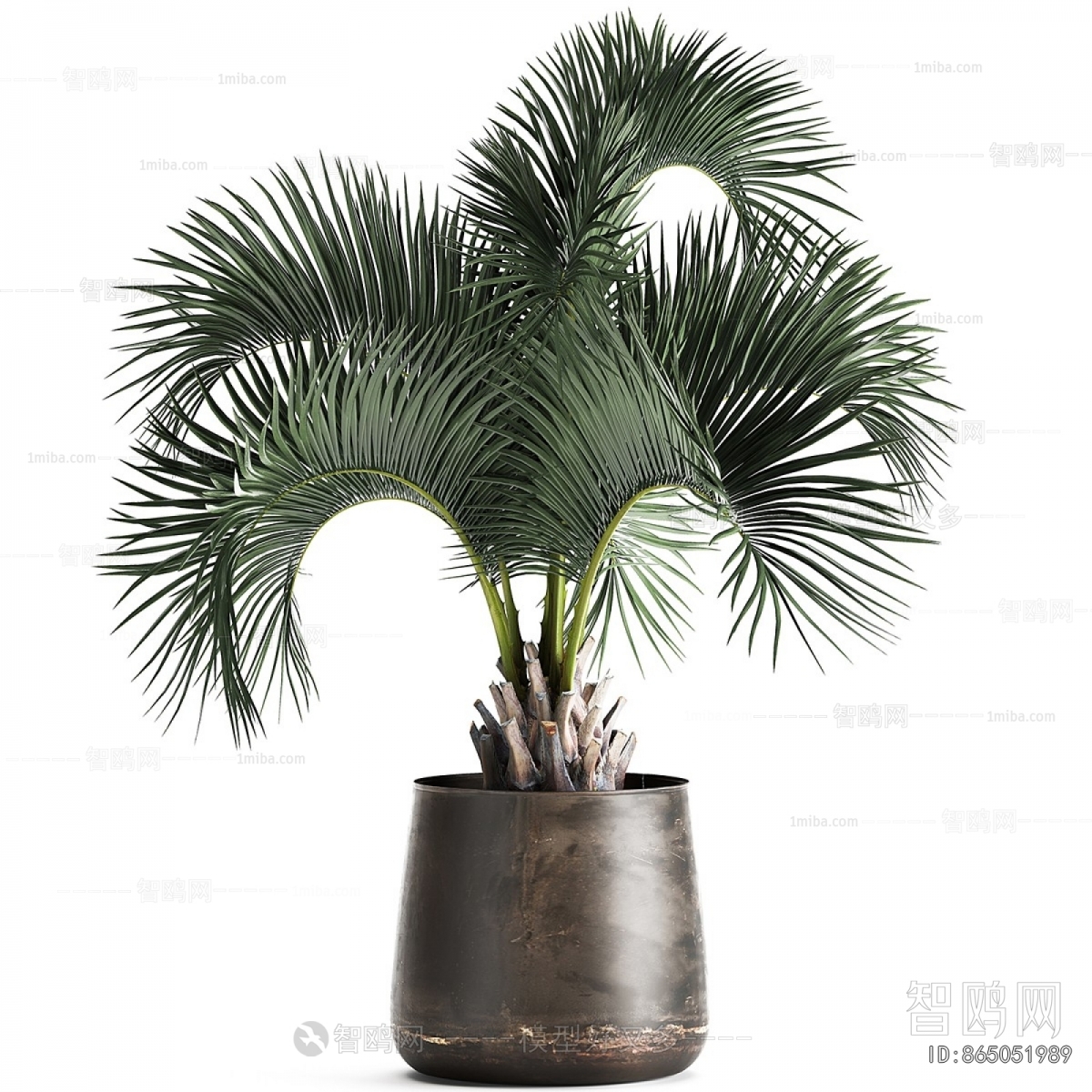 Modern Ground Green Plant Potted Plants
