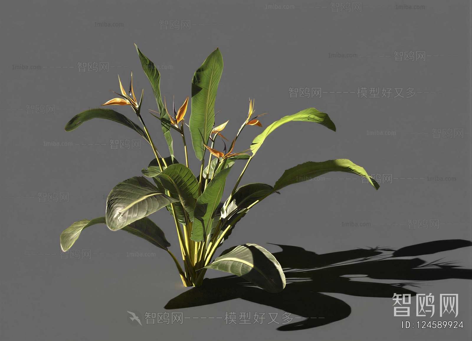 Modern Flowers And Grass