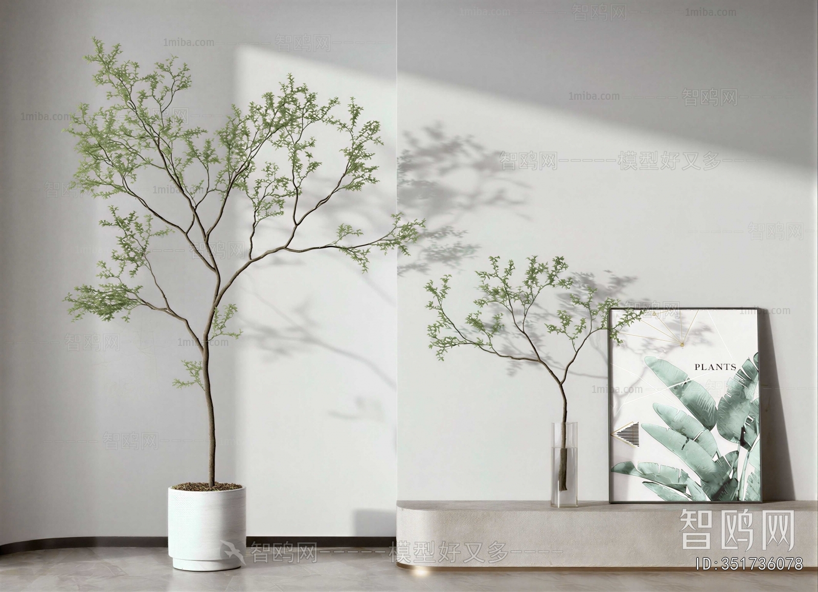 Modern Ground Green Plant Potted Plants