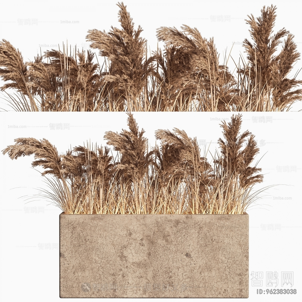 Modern Flower Bed, Flower Bowl, Flower Box