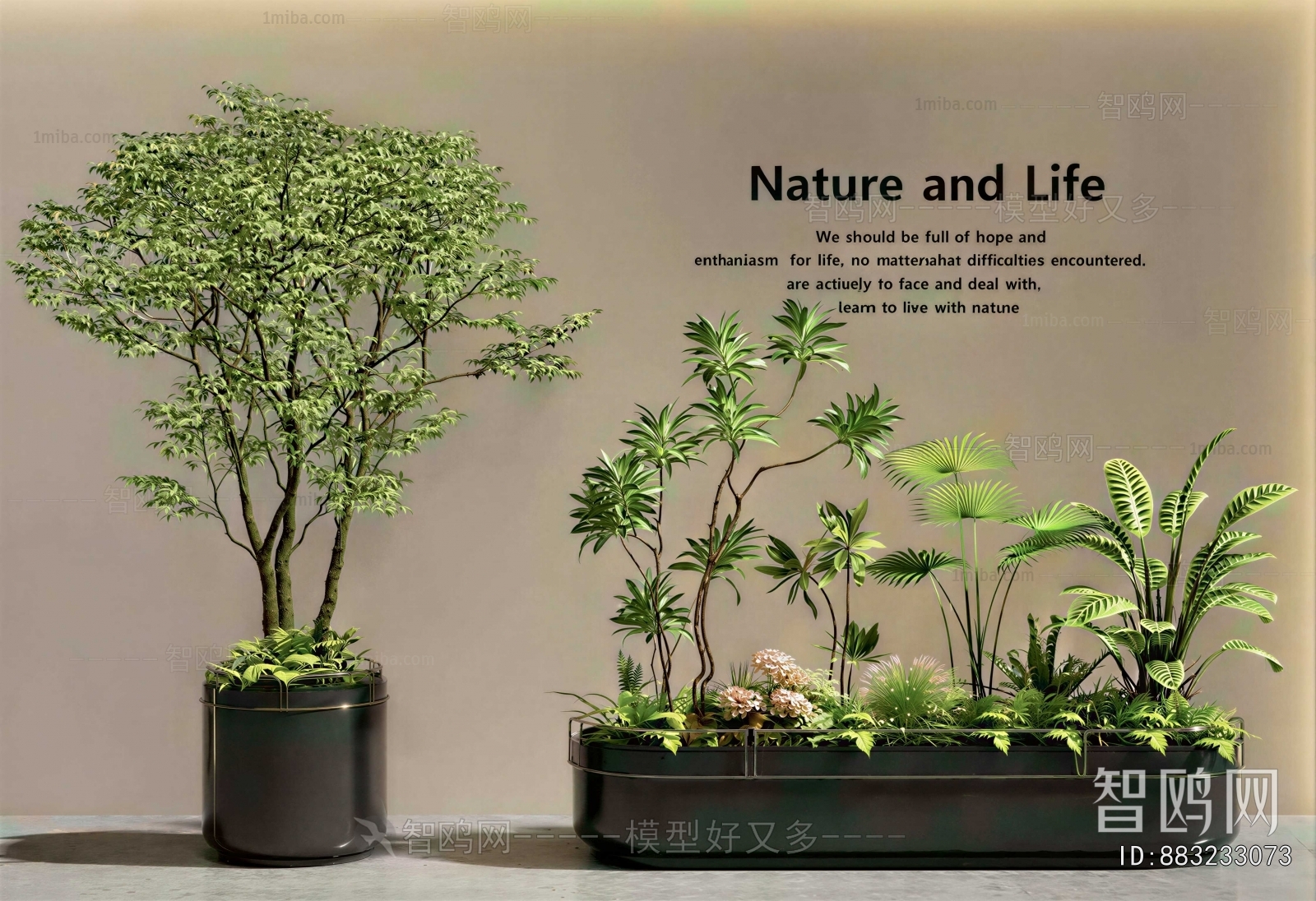 Modern Flower Bed, Flower Bowl, Flower Box