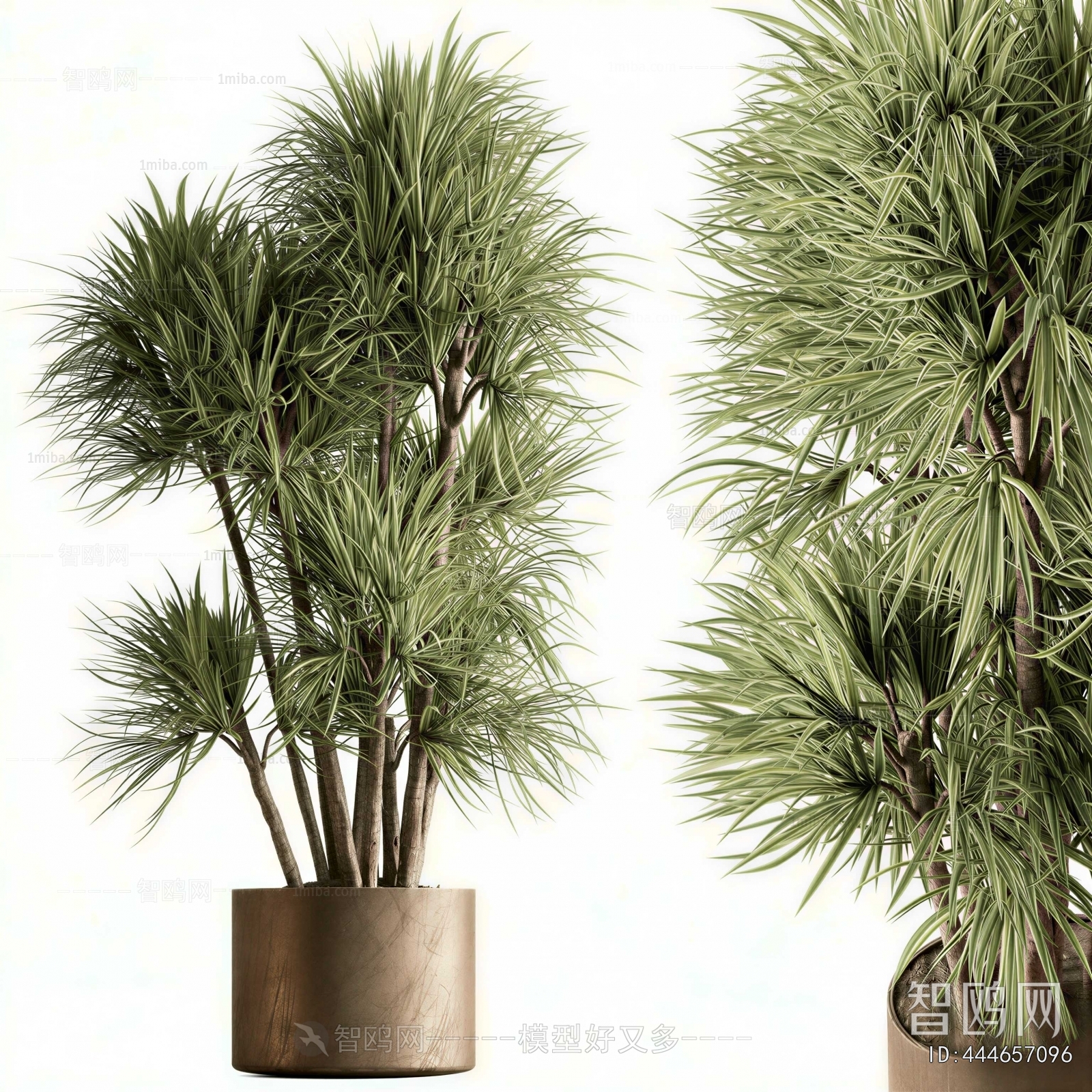 Modern Ground Green Plant Potted Plants