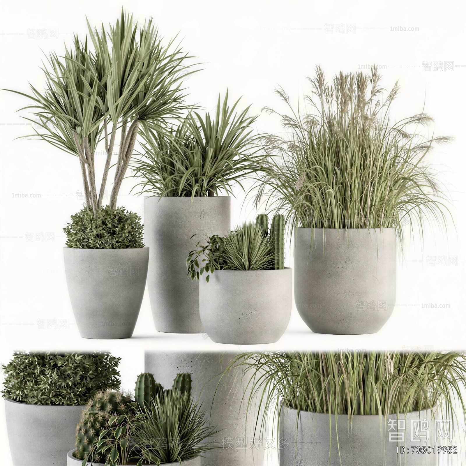 Modern Potted Green Plant