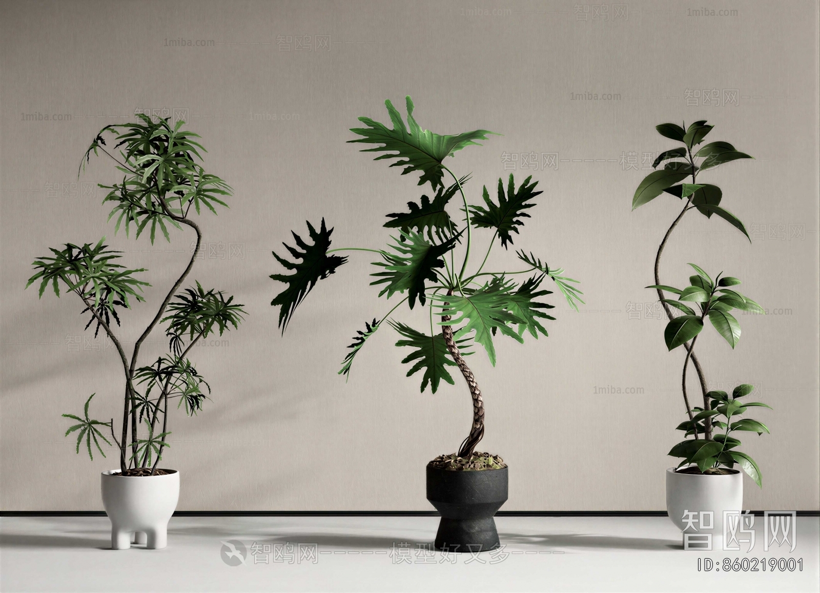 Modern Ground Green Plant Potted Plants