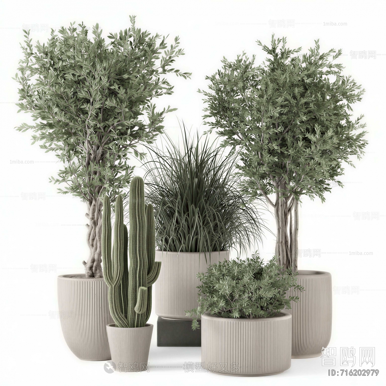 Modern Ground Green Plant Potted Plants