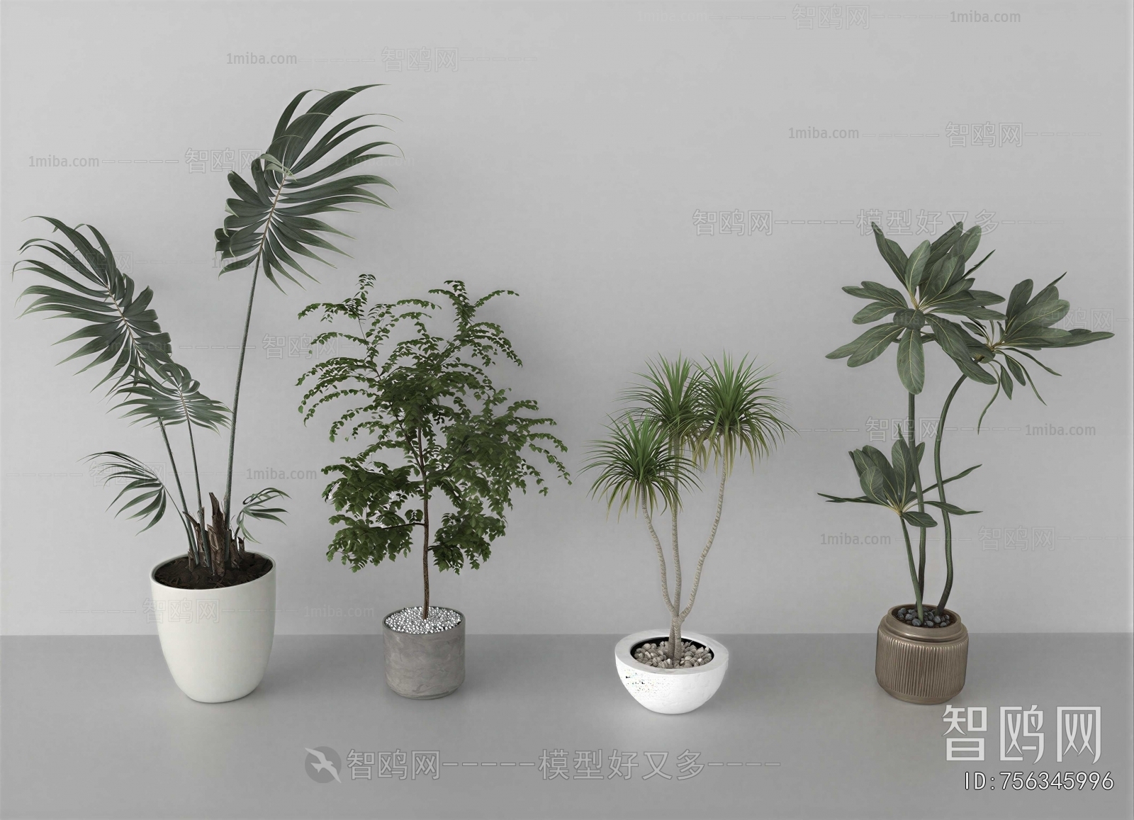 Modern Ground Green Plant Potted Plants