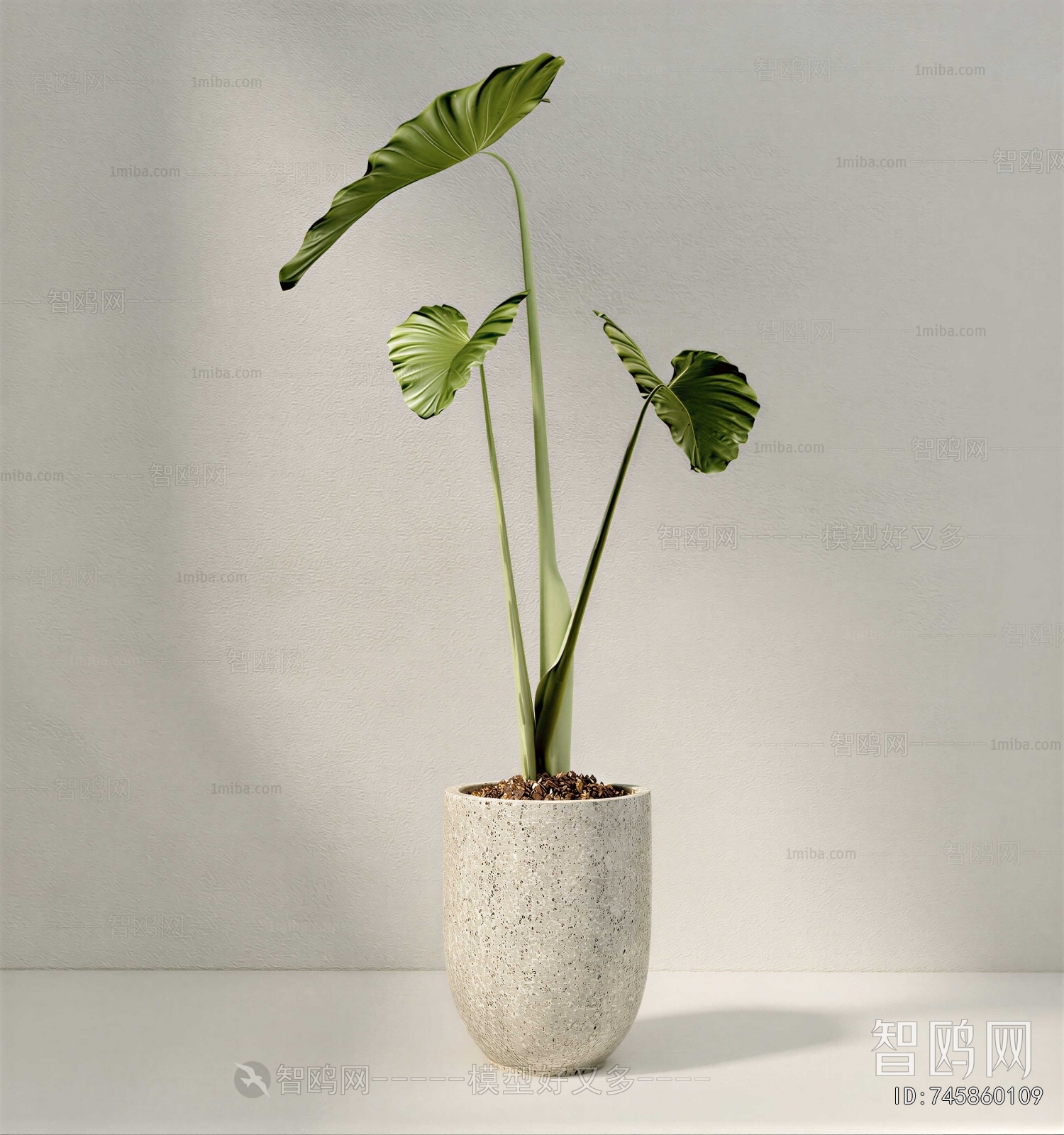 Modern Ground Green Plant Potted Plants