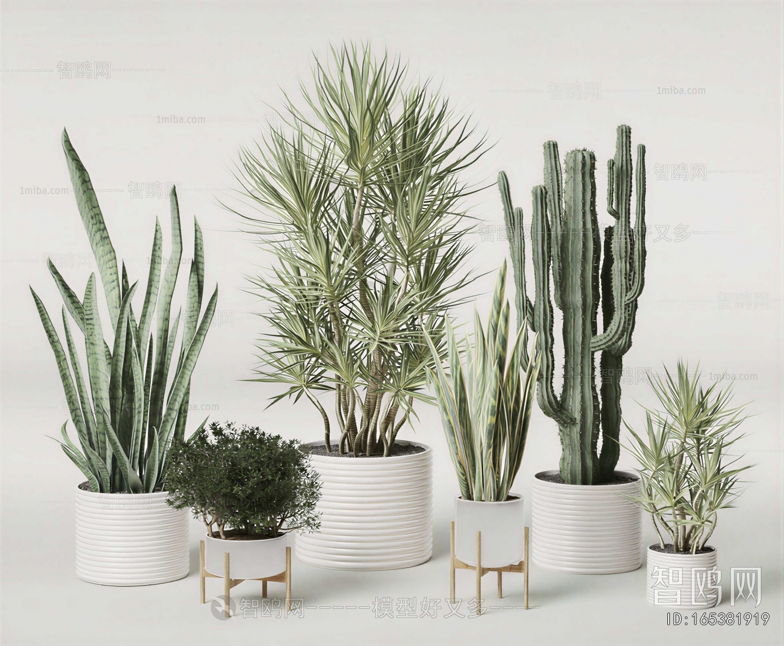 Modern Ground Green Plant Potted Plants