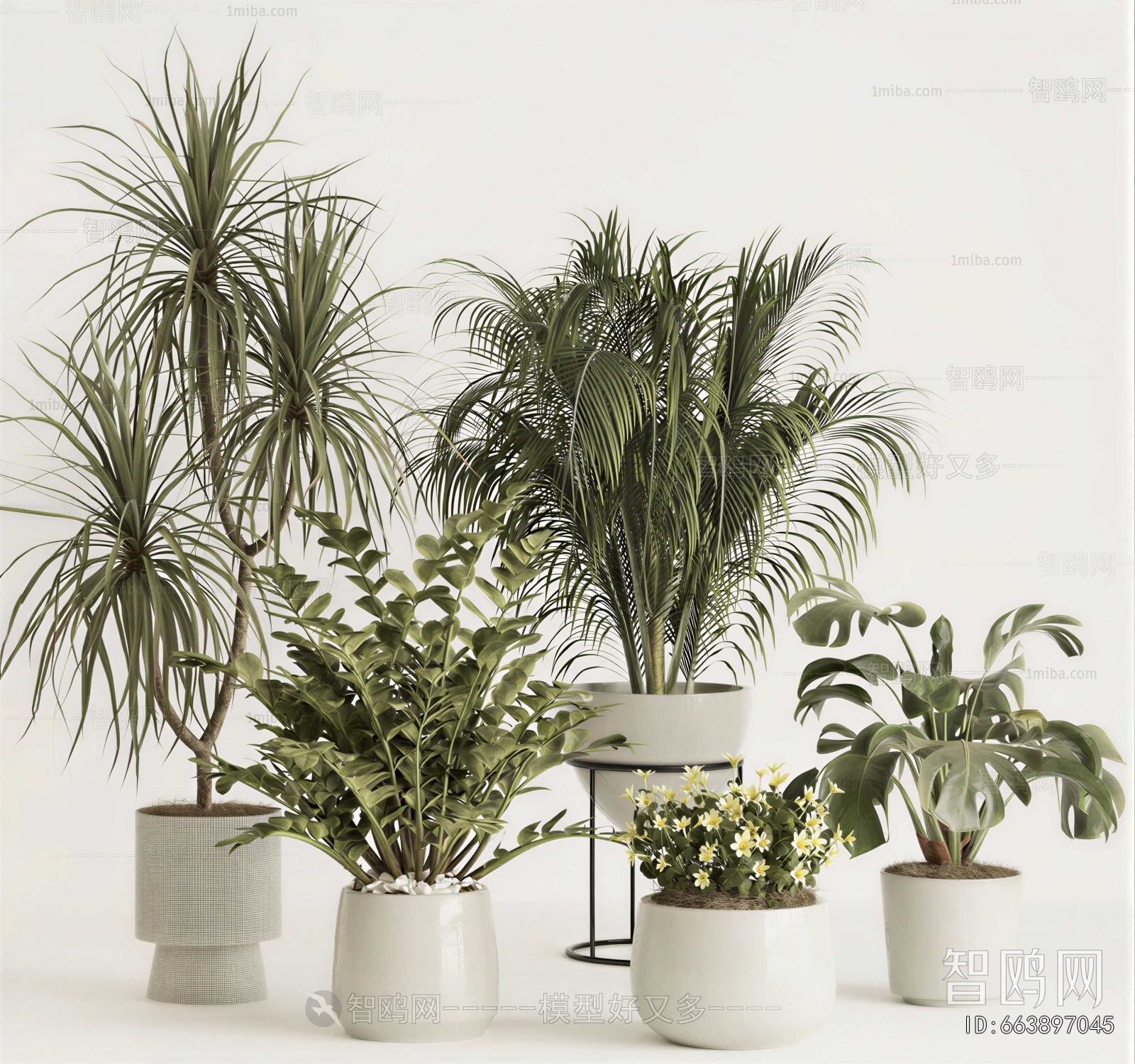 Modern Ground Green Plant Potted Plants