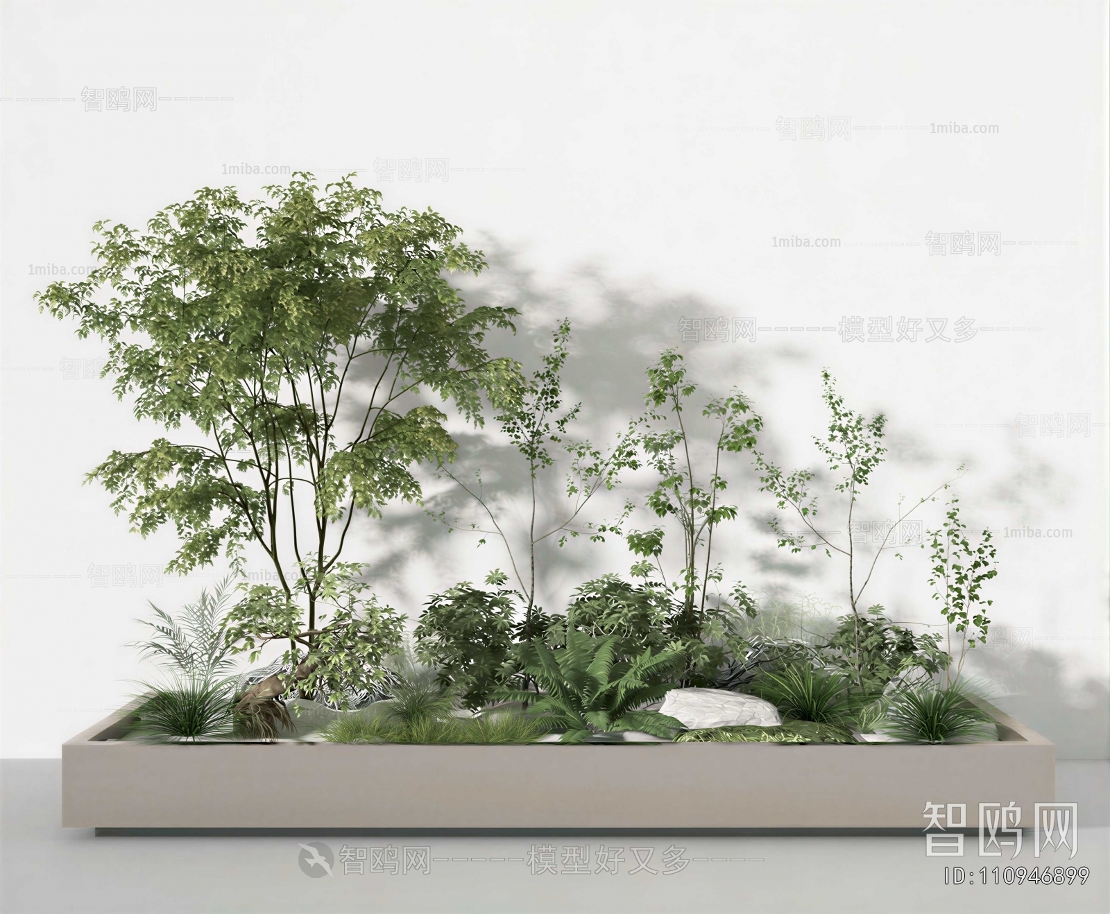 Modern Plant Landscaping