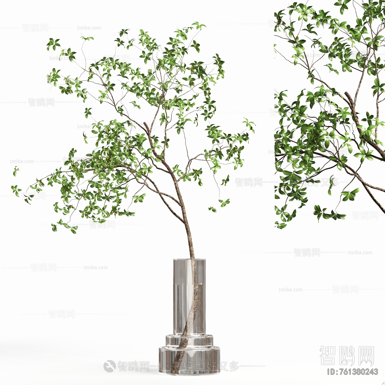 Modern Aquatic Green Plant