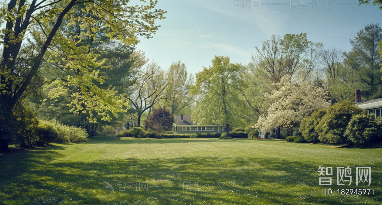 Other Exterior Scenes