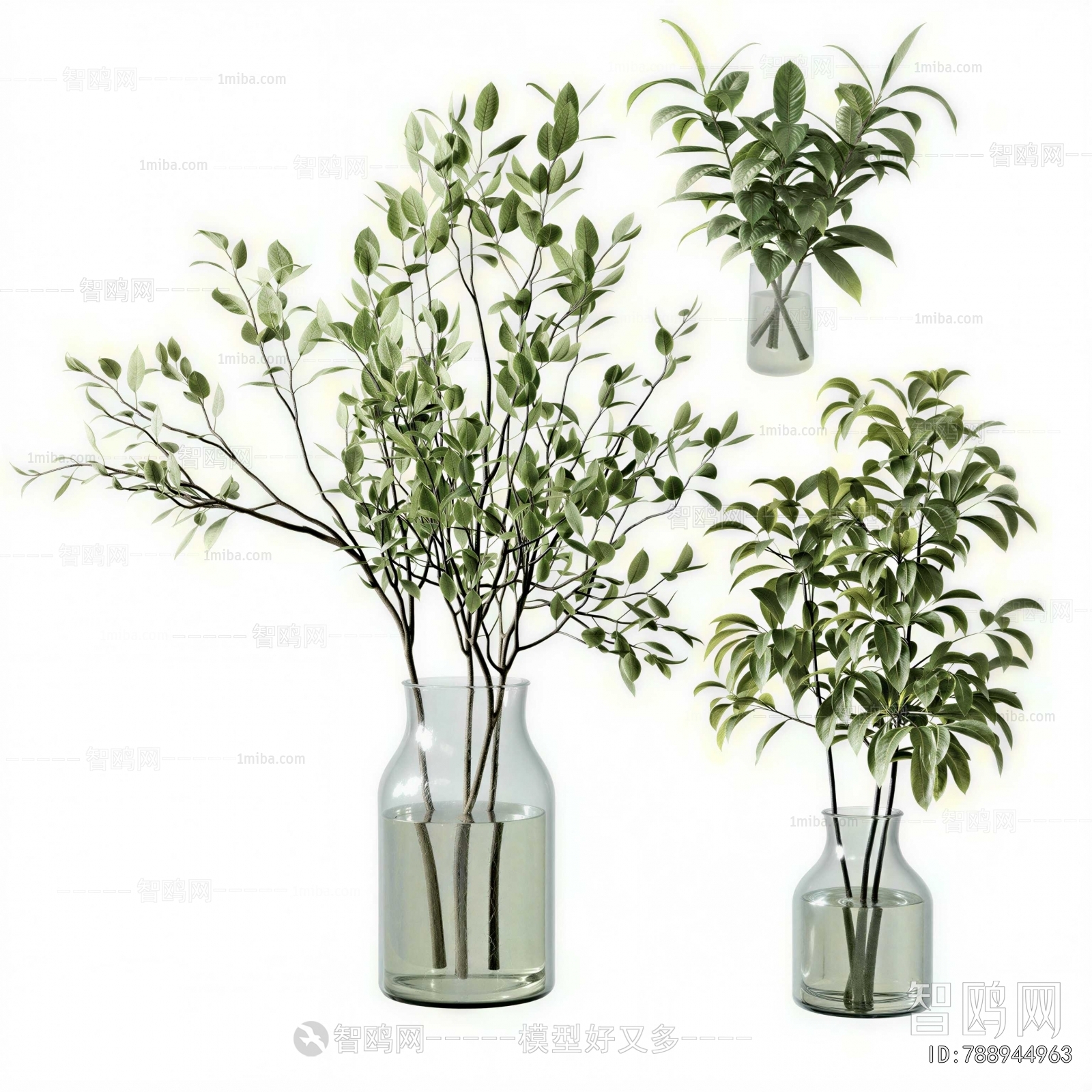 Modern Aquatic Green Plant