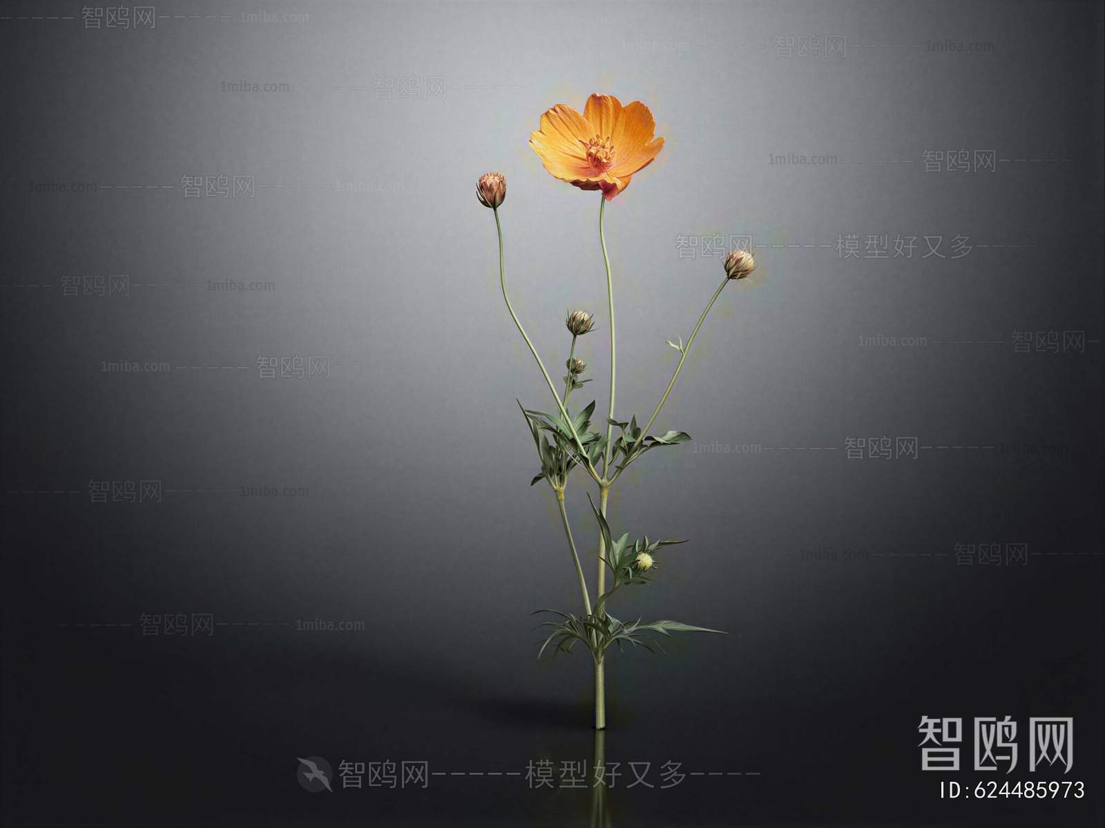 Modern Flowers And Grass