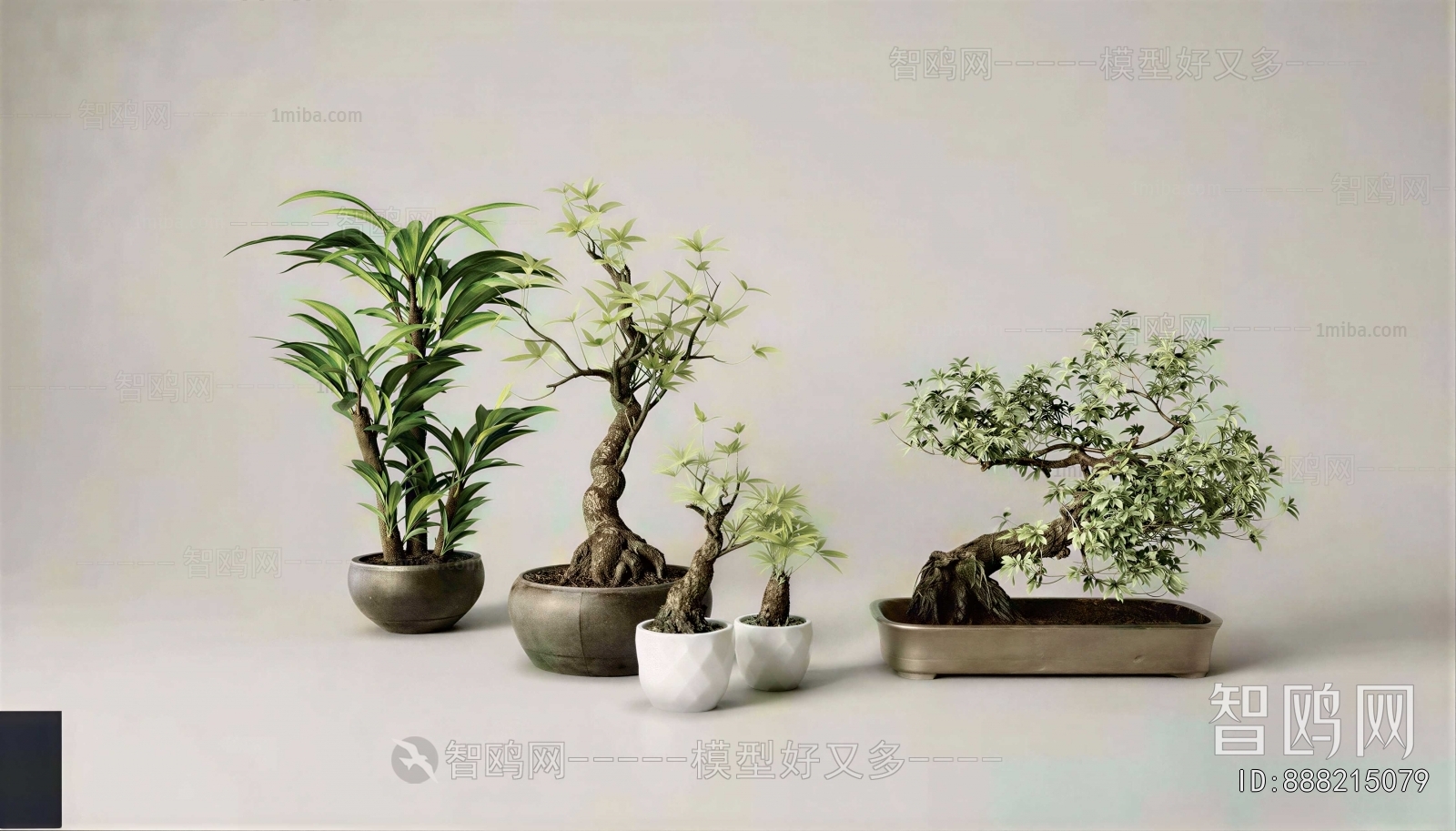 Modern Potted Green Plant