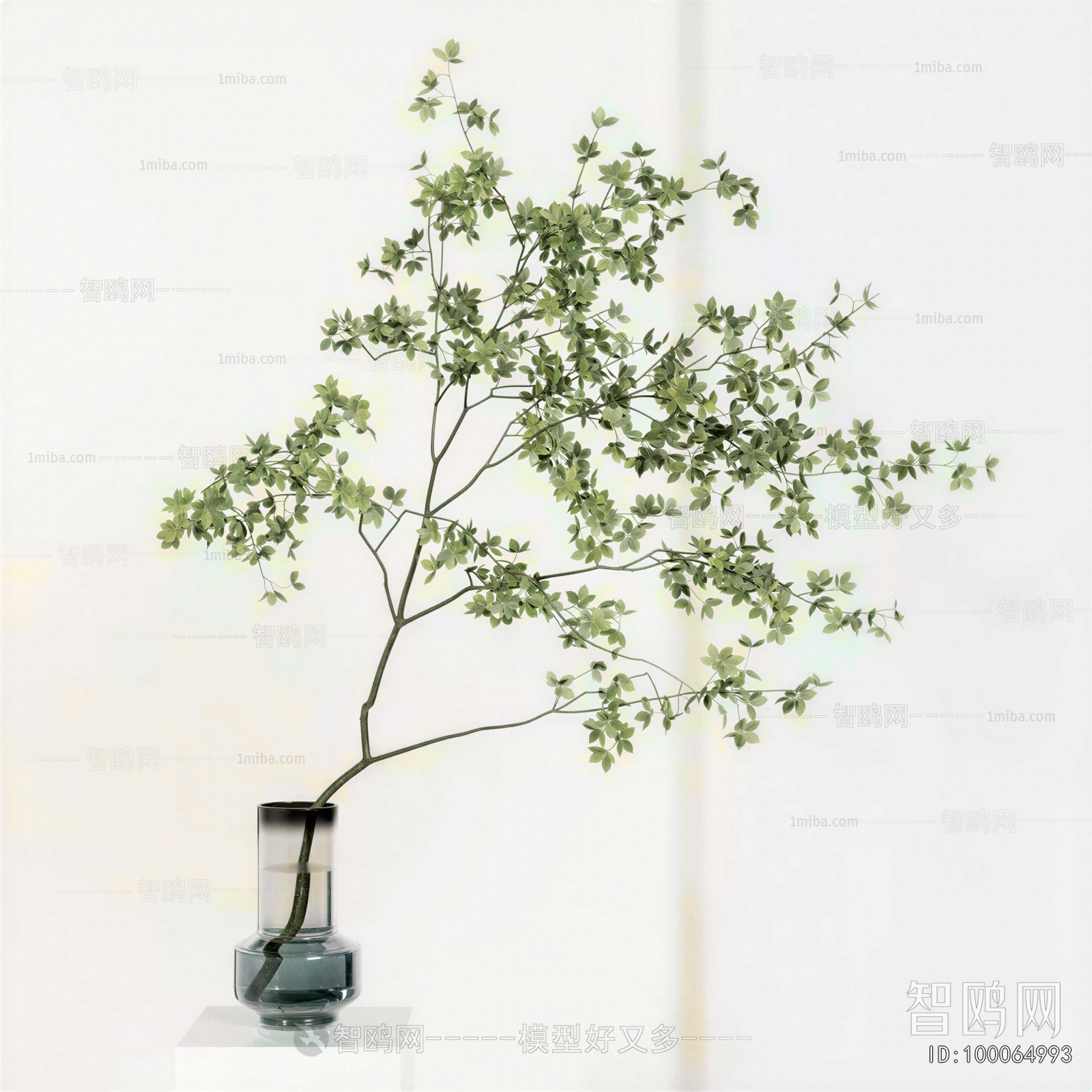 Modern Aquatic Green Plant