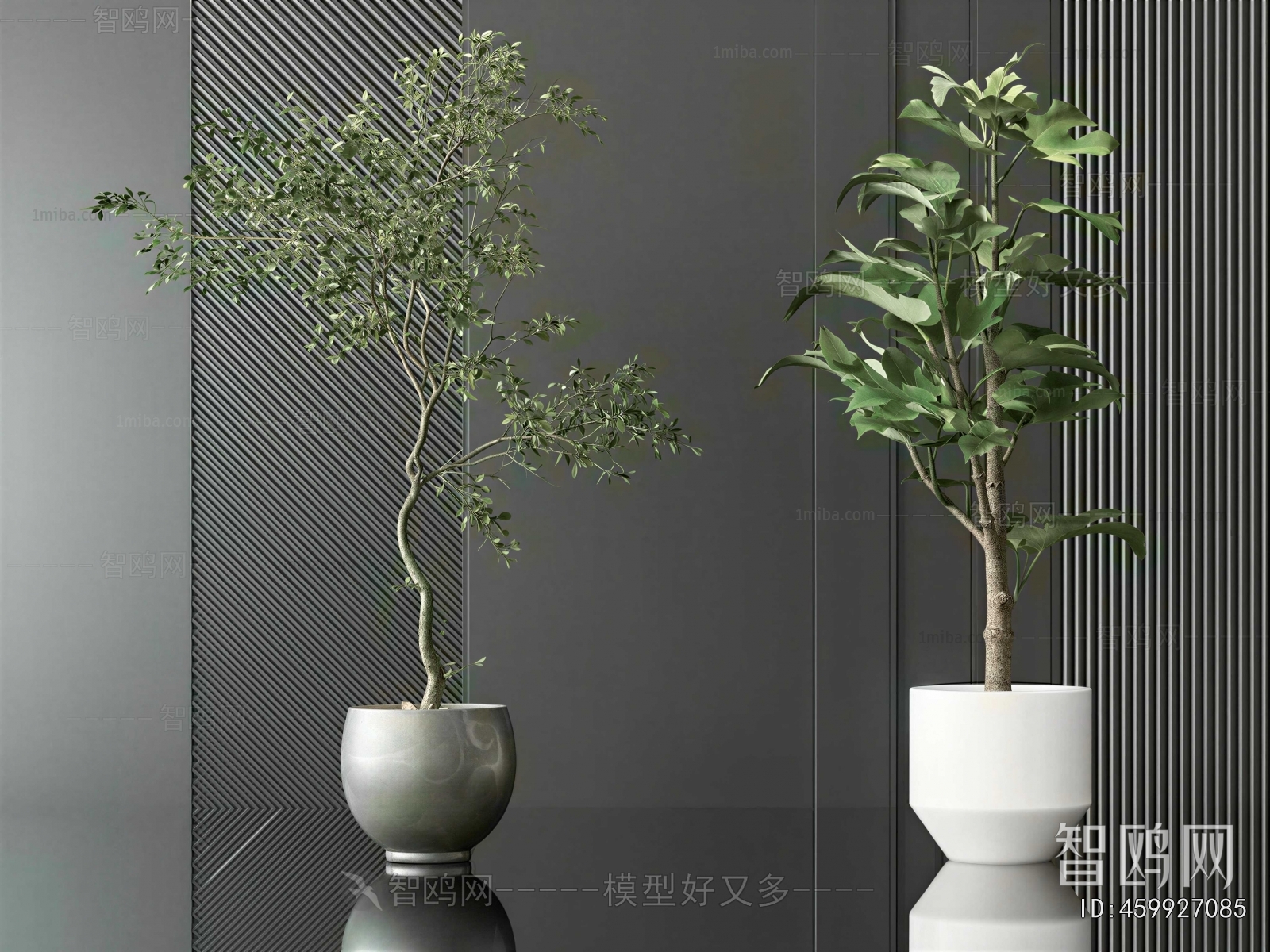 Modern Ground Green Plant Potted Plants