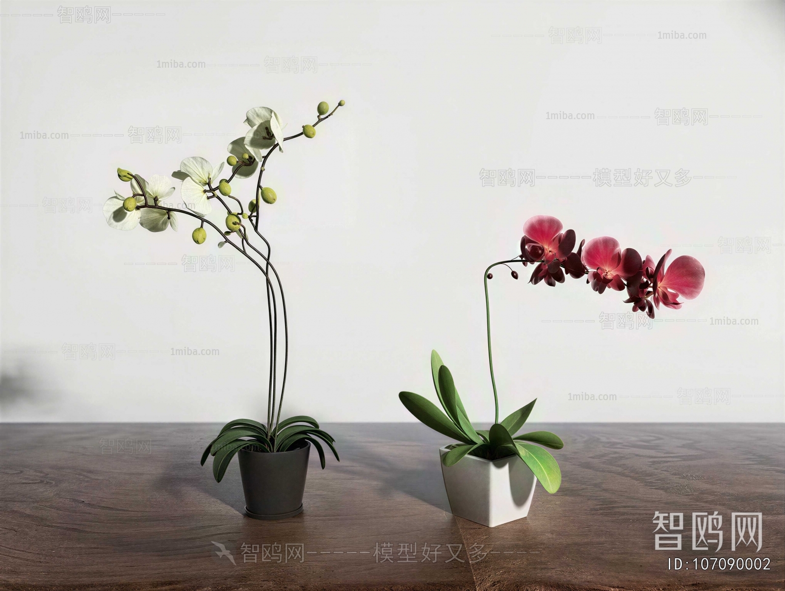 Modern Potted Green Plant